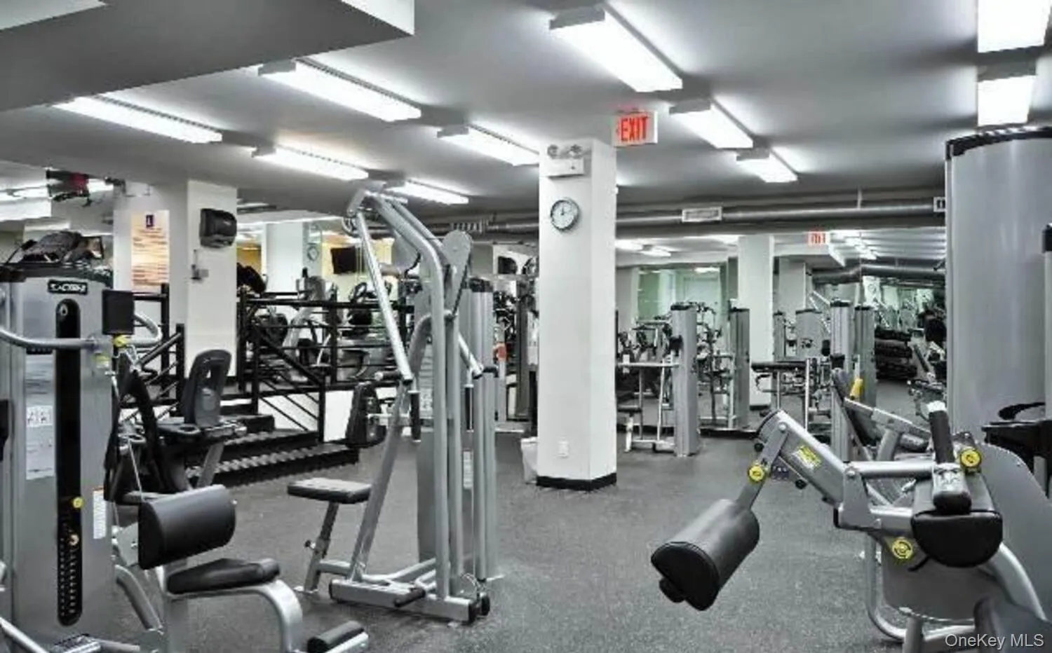 1815 215th Street, New York, NY, 1 Bedroom Bedrooms, 4 Rooms Rooms,1 BathroomBathrooms,Residential,For Rent,215th,0,1049574 1815 215th Street, New York, NY, 1 Bedroom Bedrooms, 4 Rooms Rooms,1 BathroomBathrooms,Residential,For Rent,215th,0,1049574