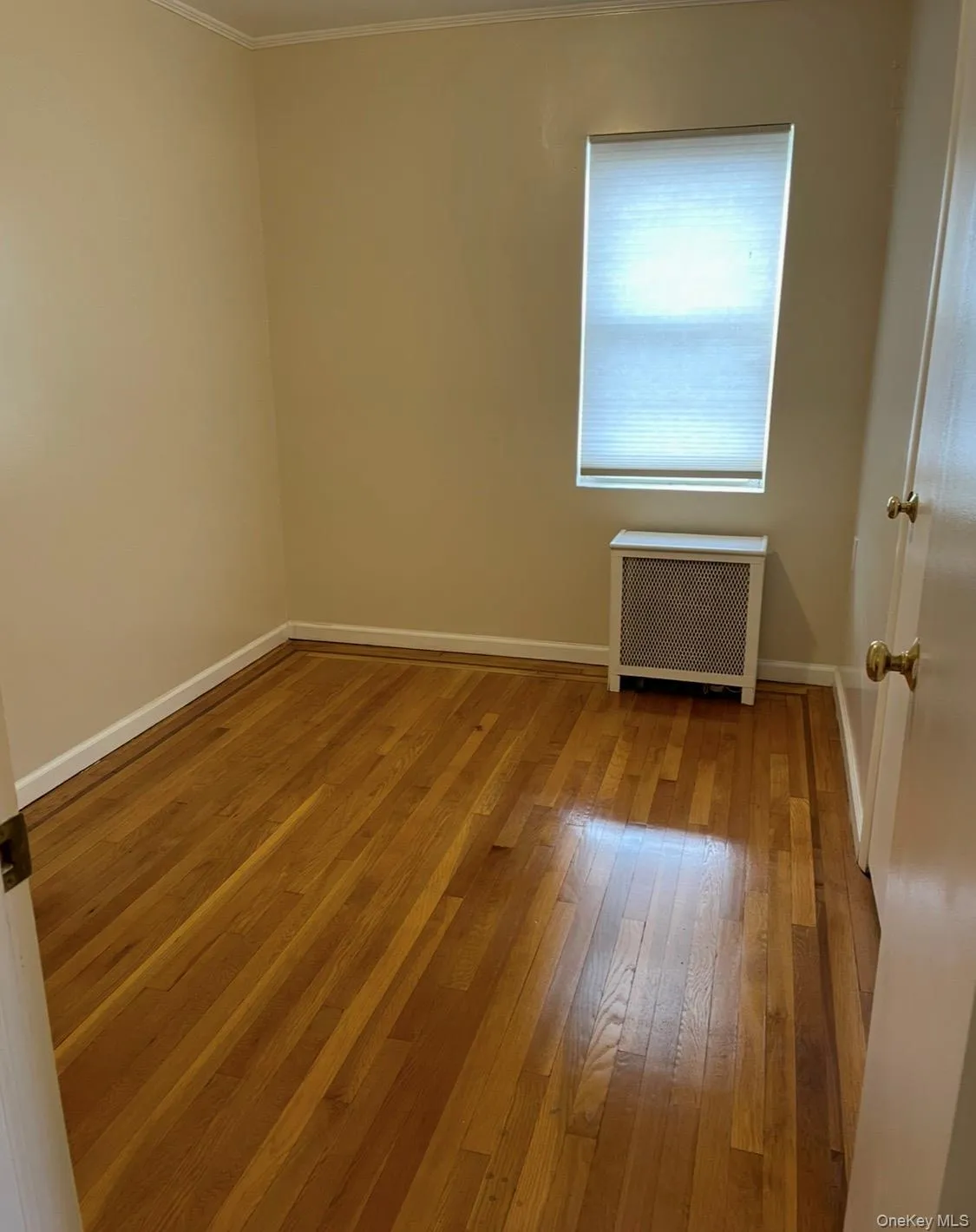 53-84 63rd Street, New York, NY, 3 Bedrooms Bedrooms, 8 Rooms Rooms,2 BathroomsBathrooms,Residential Lease,For Rent,63rd,0,1049609 53-84 63rd Street, New York, NY, 3 Bedrooms Bedrooms, 8 Rooms Rooms,2 BathroomsBathrooms,Residential Lease,For Rent,63rd,0,1049609