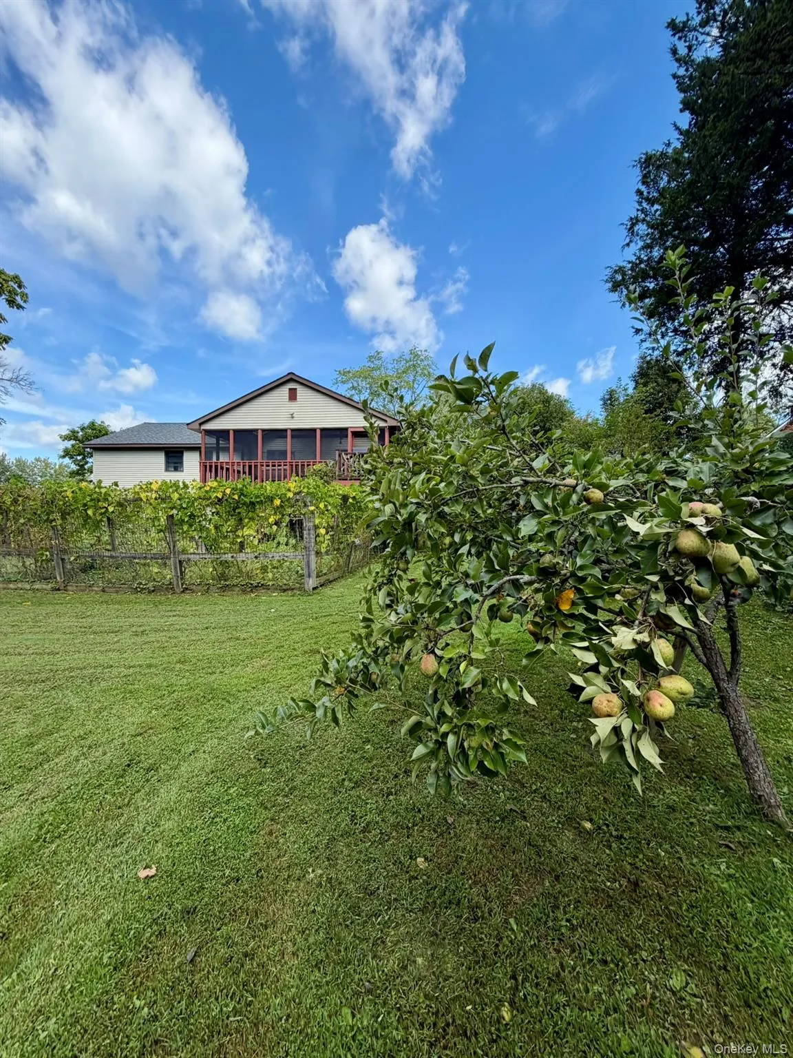 15 Trenton Road, Fishkill, NY, 3 Bedrooms Bedrooms, 11 Rooms Rooms,3 BathroomsBathrooms,Residential,For Rent,Trenton,0,1049611 15 Trenton Road, Fishkill, NY, 3 Bedrooms Bedrooms, 11 Rooms Rooms,3 BathroomsBathrooms,Residential,For Rent,Trenton,0,1049611