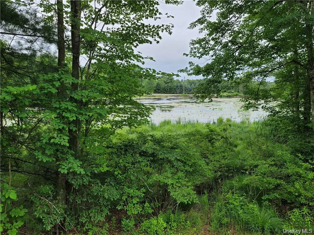 14 Lakeside Drive, Thompson, NY, 2 Bedrooms Bedrooms, 4 Rooms Rooms,3 BathroomsBathrooms,Residential Lease,For Rent,Lakeside,0,1049612 14 Lakeside Drive, Thompson, NY, 2 Bedrooms Bedrooms, 4 Rooms Rooms,3 BathroomsBathrooms,Residential Lease,For Rent,Lakeside,0,1049612