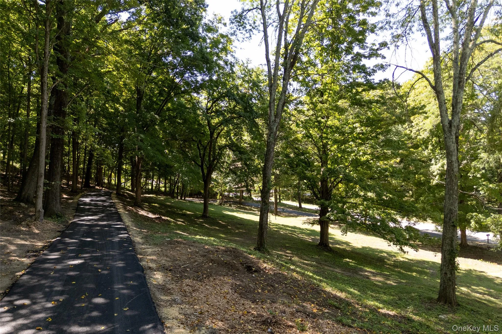 Newly paved gently sloping driveway to upper house. Newly paved gently sloping driveway to upper house.
