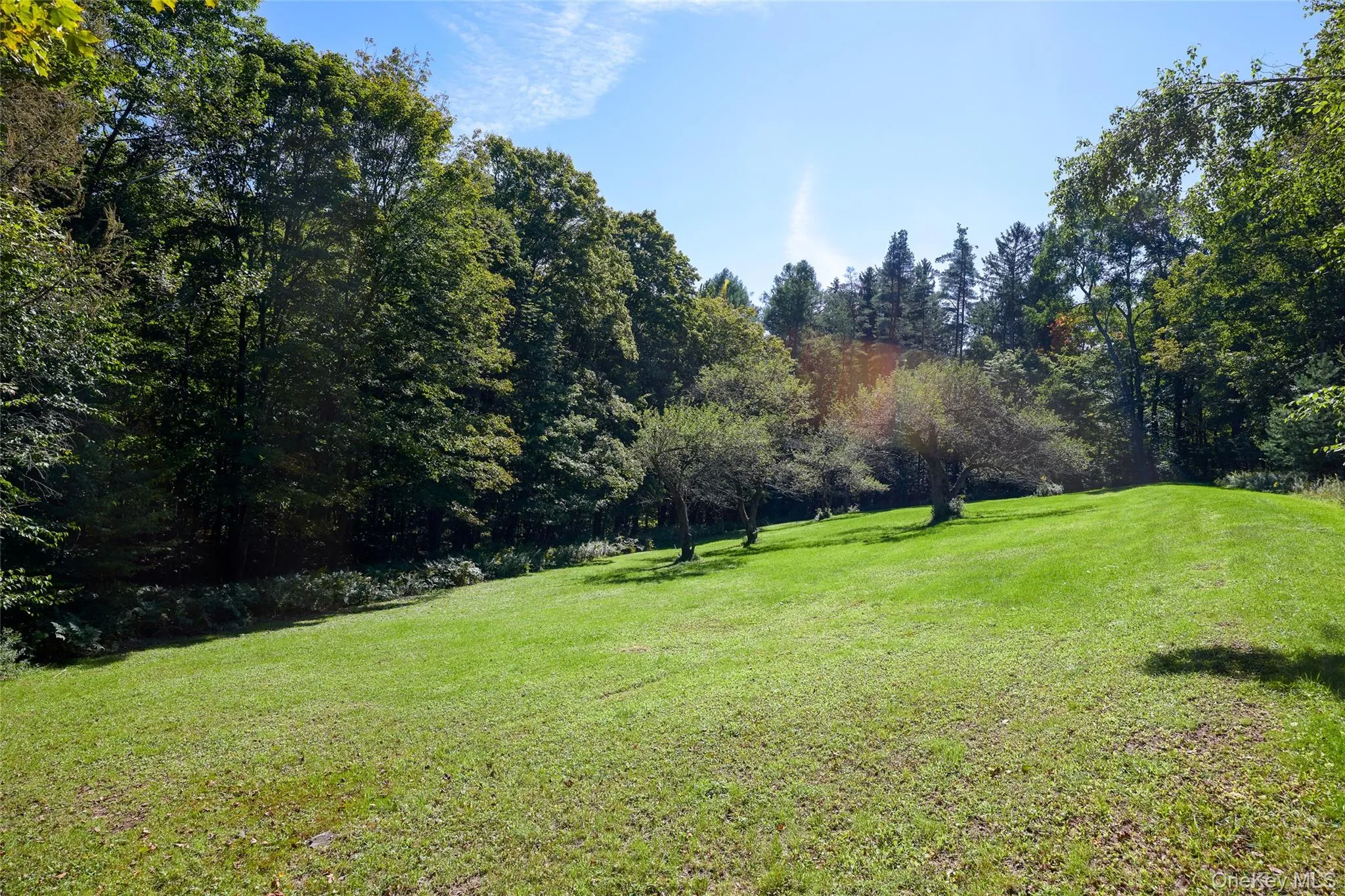 197 Weiss Road, Fremont, NY, 4 Bedrooms Bedrooms, 9 Rooms Rooms,3 BathroomsBathrooms,Residential,For Rent,Weiss,0,1049647 197 Weiss Road, Fremont, NY, 4 Bedrooms Bedrooms, 9 Rooms Rooms,3 BathroomsBathrooms,Residential,For Rent,Weiss,0,1049647