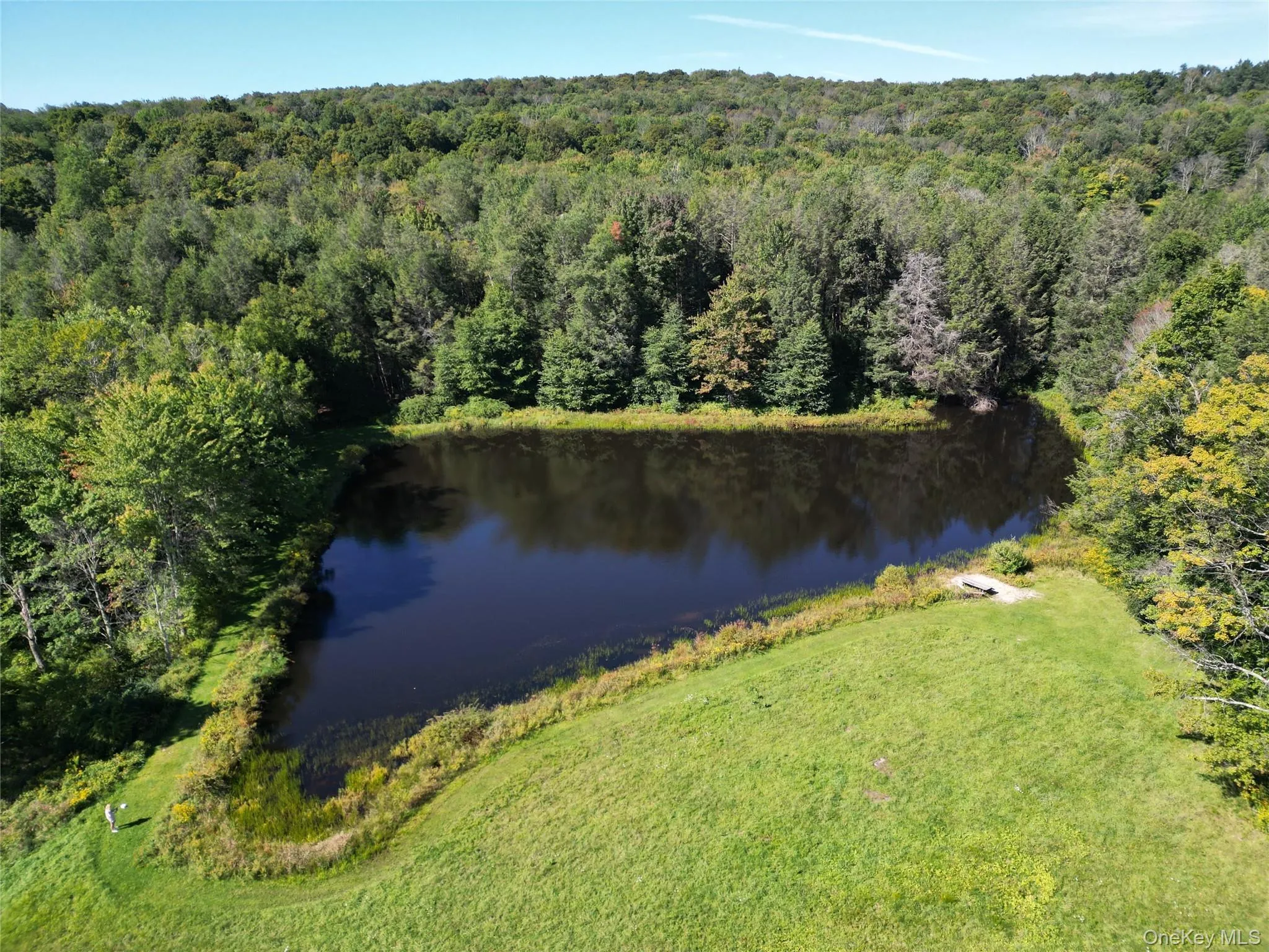 197 Weiss Road, Fremont, NY, 4 Bedrooms Bedrooms, 9 Rooms Rooms,3 BathroomsBathrooms,Residential,For Rent,Weiss,0,1049647 197 Weiss Road, Fremont, NY, 4 Bedrooms Bedrooms, 9 Rooms Rooms,3 BathroomsBathrooms,Residential,For Rent,Weiss,0,1049647