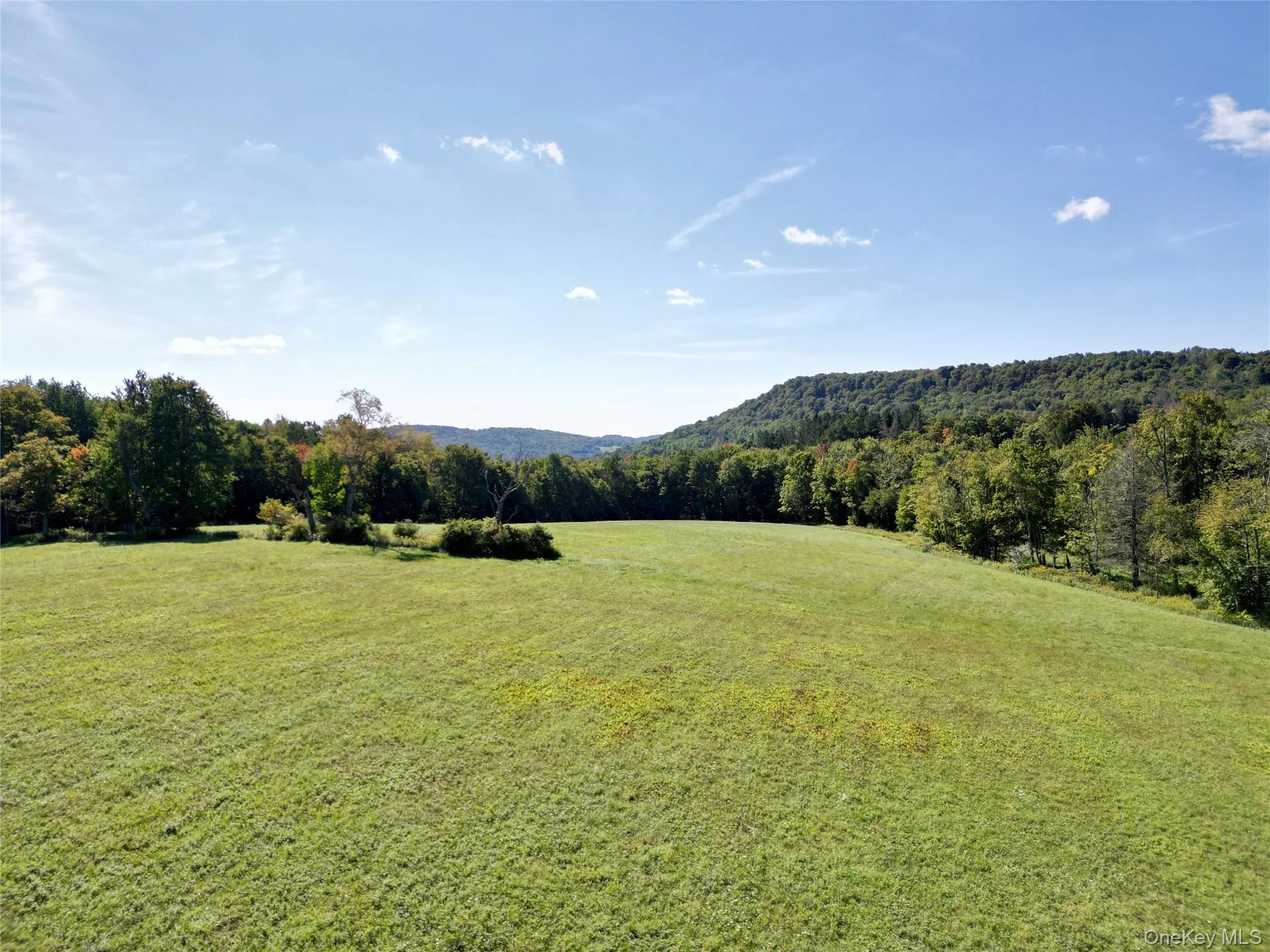 197 Weiss Road, Fremont, NY, 4 Bedrooms Bedrooms, 9 Rooms Rooms,3 BathroomsBathrooms,Residential,For Rent,Weiss,0,1049647 197 Weiss Road, Fremont, NY, 4 Bedrooms Bedrooms, 9 Rooms Rooms,3 BathroomsBathrooms,Residential,For Rent,Weiss,0,1049647