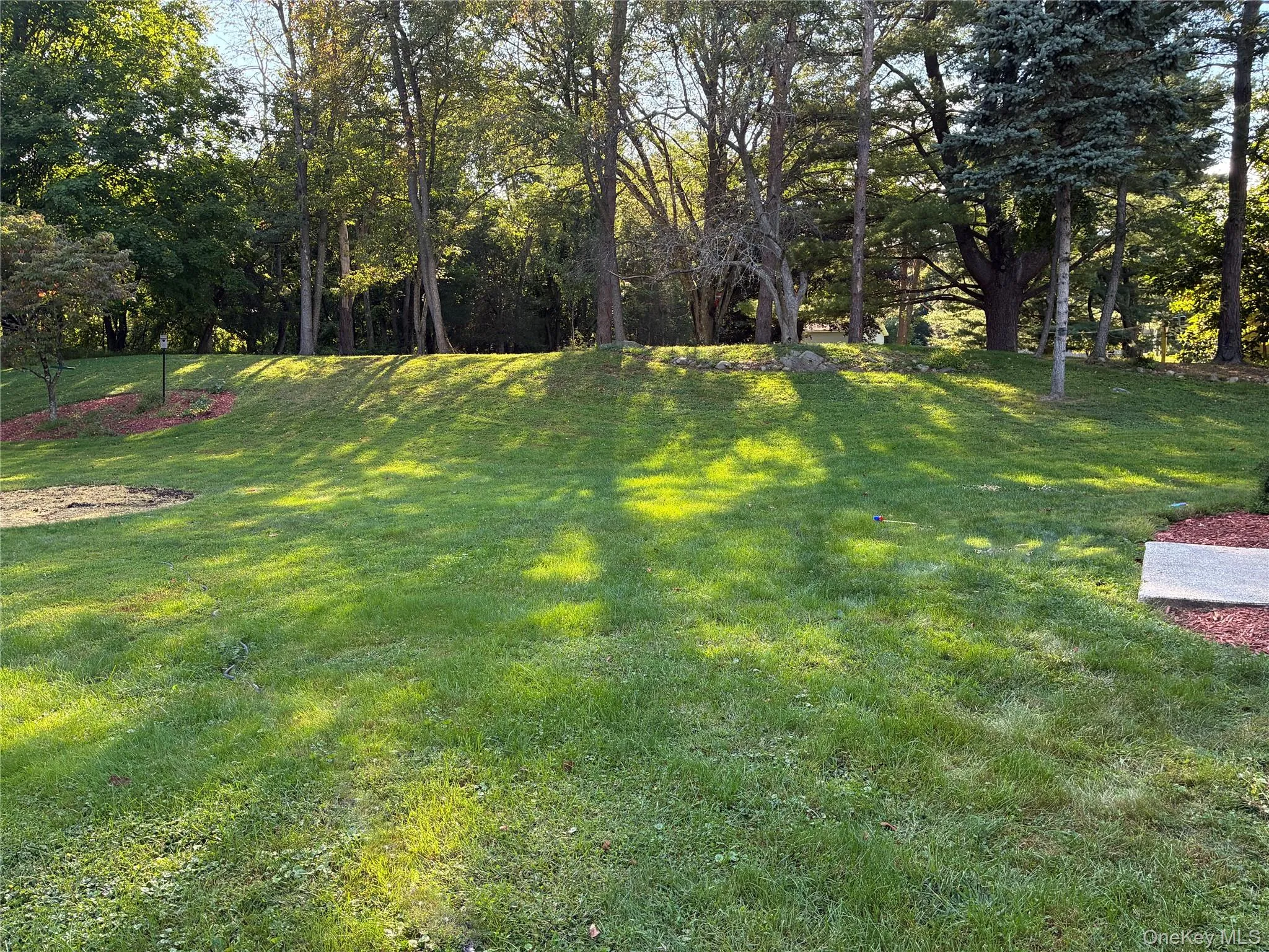 Open lawn area Open lawn area