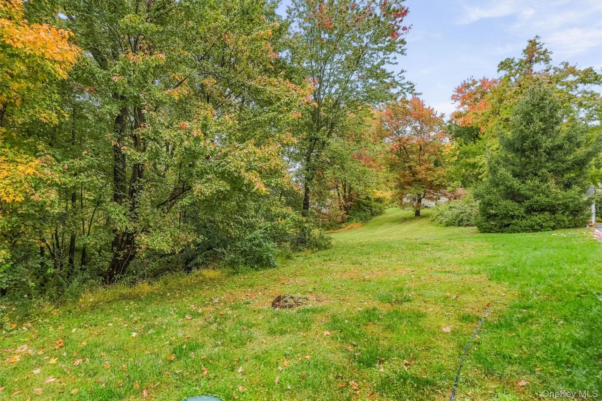 19 Ridgeview Road, East Fishkill, NY, 2 Bedrooms Bedrooms, 6 Rooms Rooms,1 BathroomBathrooms,Residential,For Rent,Ridgeview,0,1049657 19 Ridgeview Road, East Fishkill, NY, 2 Bedrooms Bedrooms, 6 Rooms Rooms,1 BathroomBathrooms,Residential,For Rent,Ridgeview,0,1049657