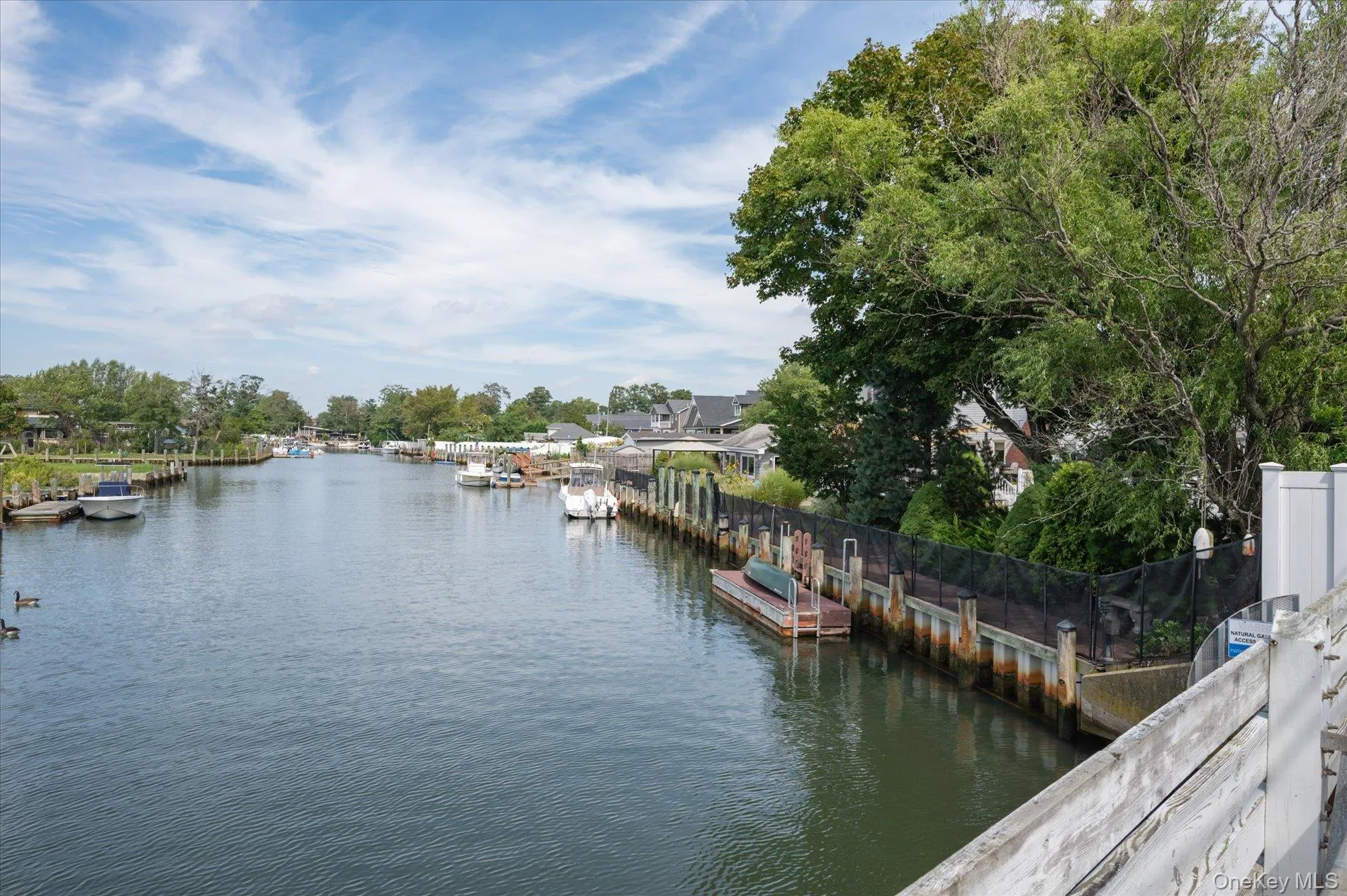 15 Lincoln Avenue, Oyster Bay, NY, 3 Bedrooms Bedrooms, 6 Rooms Rooms,2 BathroomsBathrooms,Residential,For Rent,Lincoln,0,1049673 15 Lincoln Avenue, Oyster Bay, NY, 3 Bedrooms Bedrooms, 6 Rooms Rooms,2 BathroomsBathrooms,Residential,For Rent,Lincoln,0,1049673