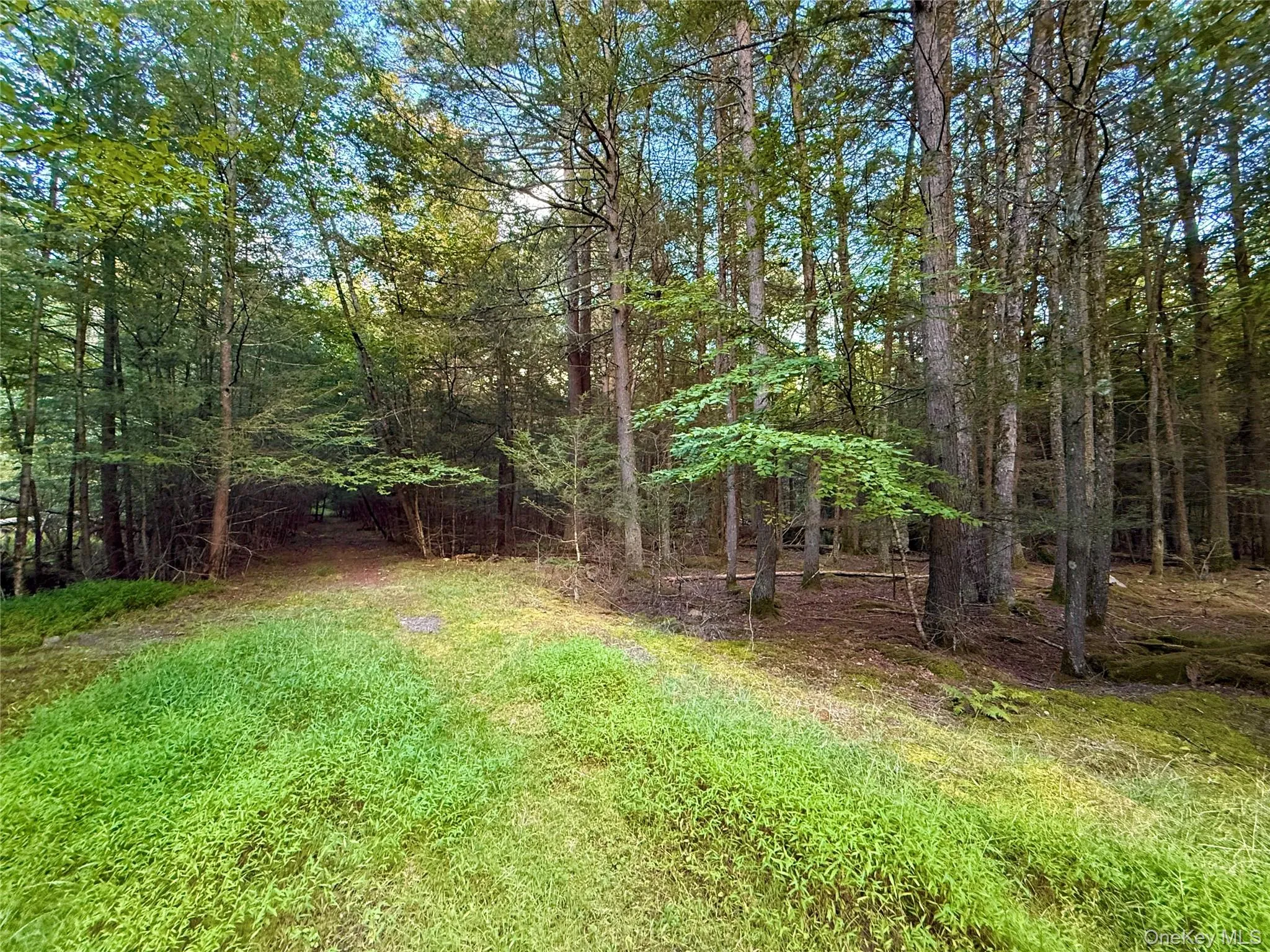 Orange Avenue, Bethel, NY, ,Land,For Rent,Orange,0,1049713 Orange Avenue, Bethel, NY, ,Land,For Rent,Orange,0,1049713