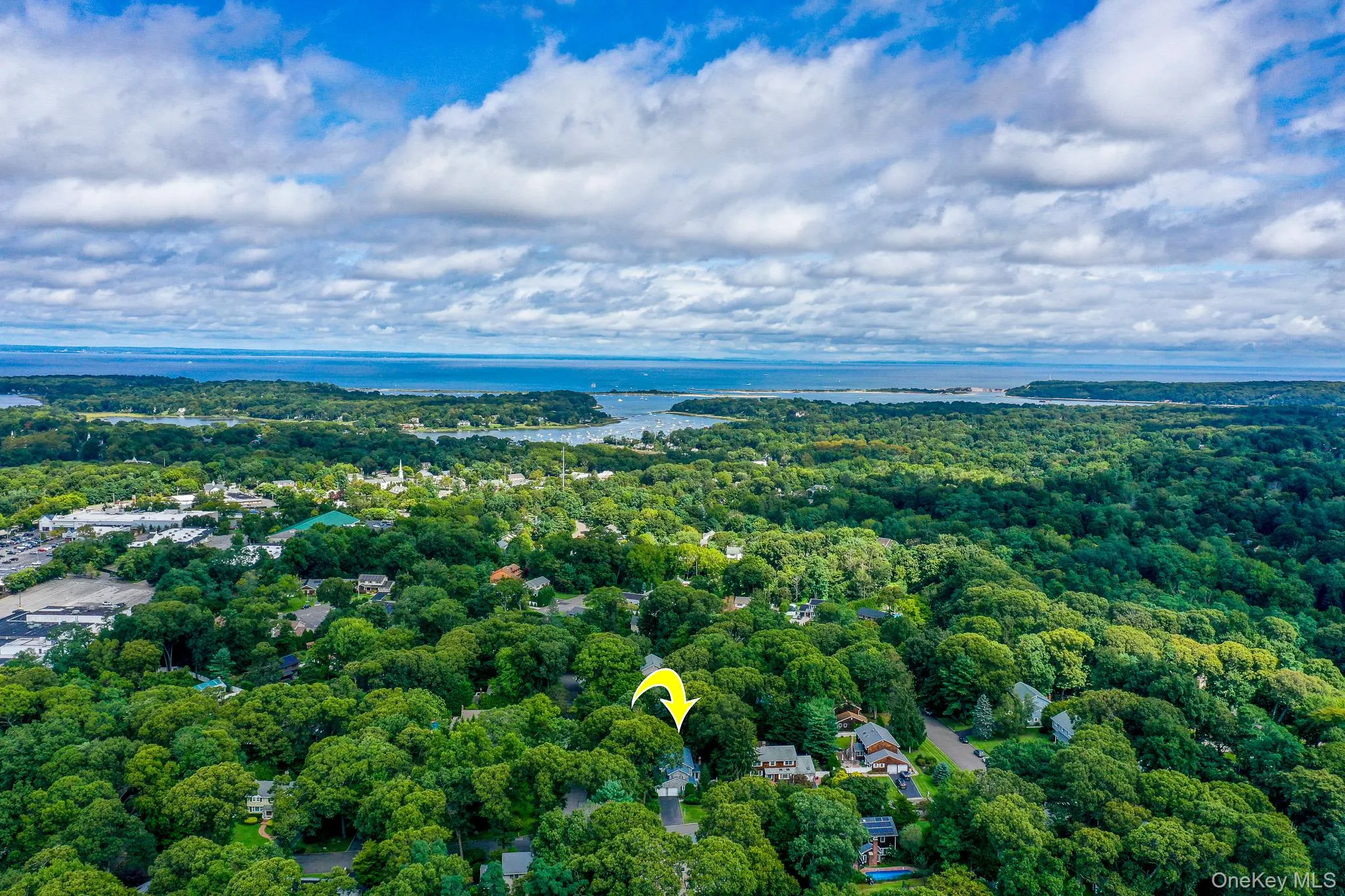 15 Tobi Lane, Brookhaven, NY, 5 Bedrooms Bedrooms, 10 Rooms Rooms,2 BathroomsBathrooms,Residential,For Rent,Tobi,0,1049744 15 Tobi Lane, Brookhaven, NY, 5 Bedrooms Bedrooms, 10 Rooms Rooms,2 BathroomsBathrooms,Residential,For Rent,Tobi,0,1049744