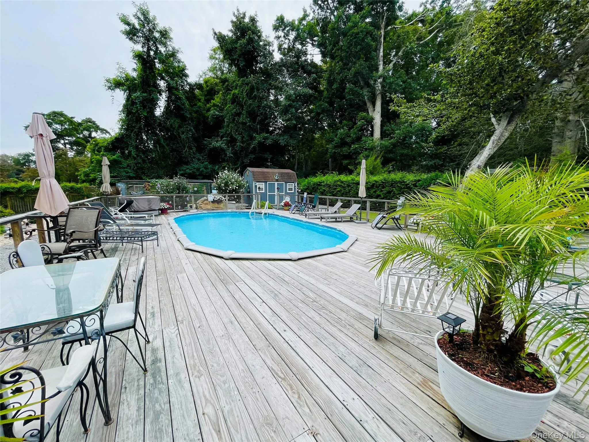 The Pool with Large wraparound deck for lounge chairs, also for a few tables and chairs. The Pool with Large wraparound deck for lounge chairs, also for a few tables and chairs.