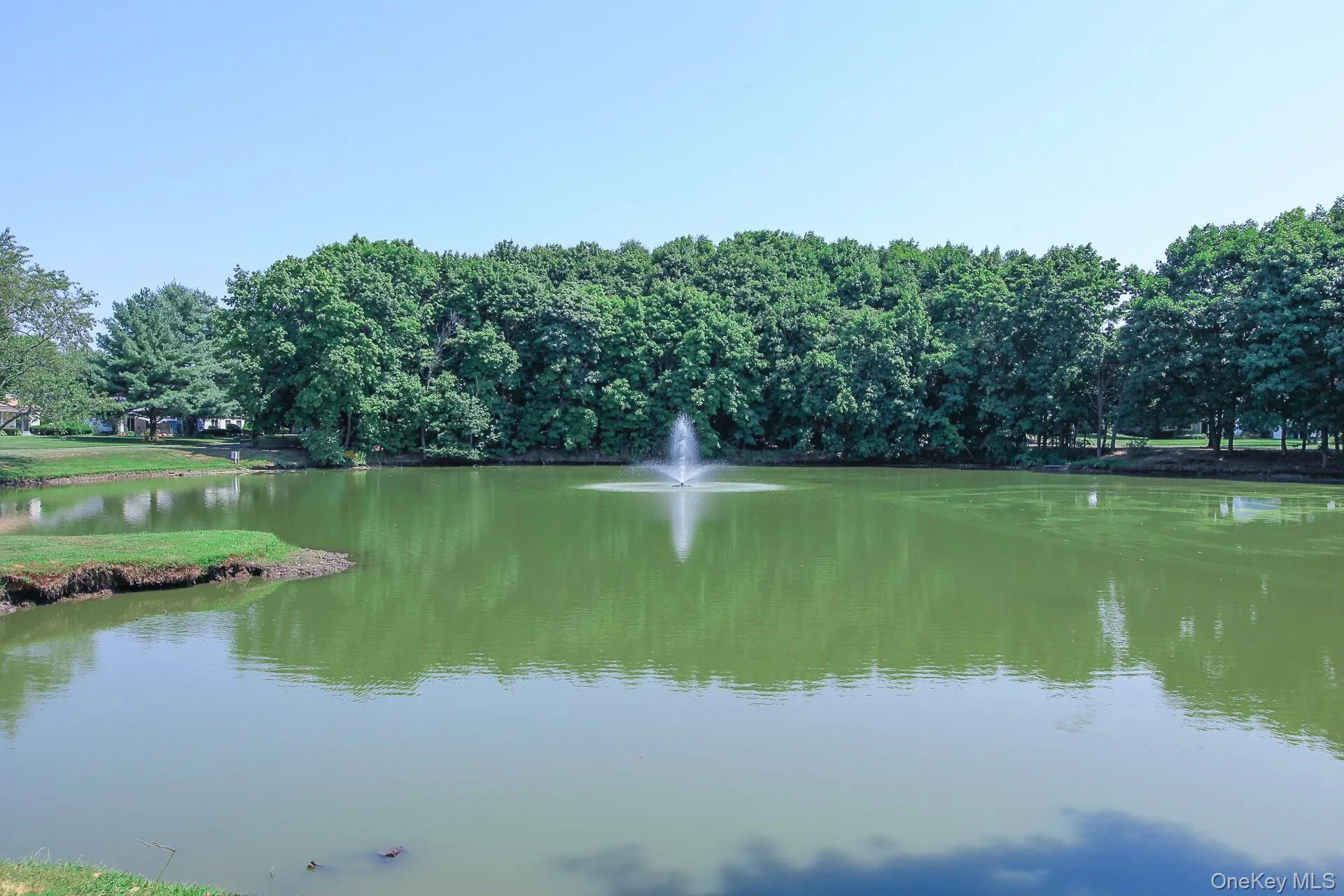 Pond Pond