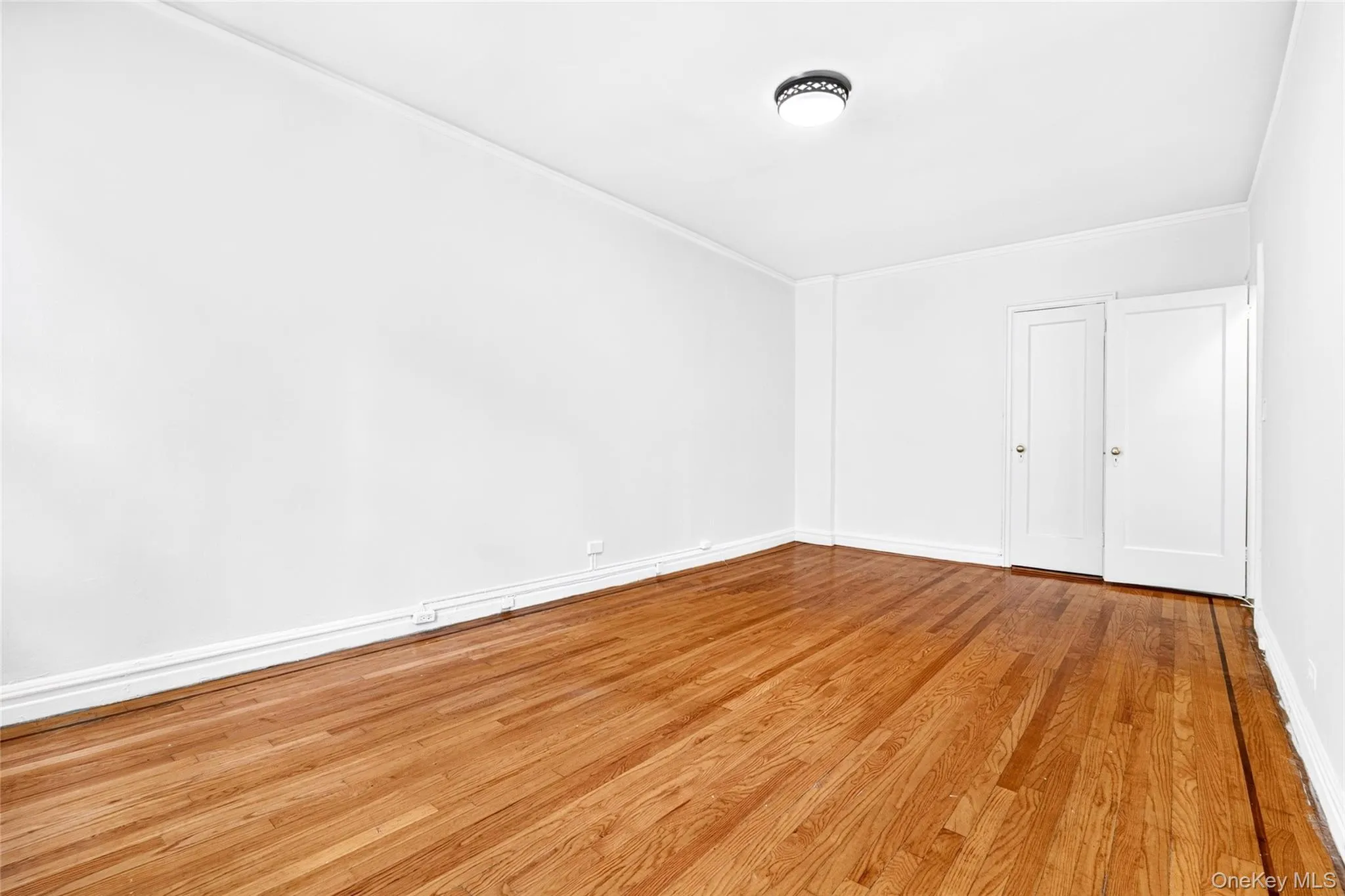 601 Pelham Parkway, New York, NY, 1 Bedroom Bedrooms, 5 Rooms Rooms,1 BathroomBathrooms,Residential,For Rent,Pelham,0,1049801 601 Pelham Parkway, New York, NY, 1 Bedroom Bedrooms, 5 Rooms Rooms,1 BathroomBathrooms,Residential,For Rent,Pelham,0,1049801