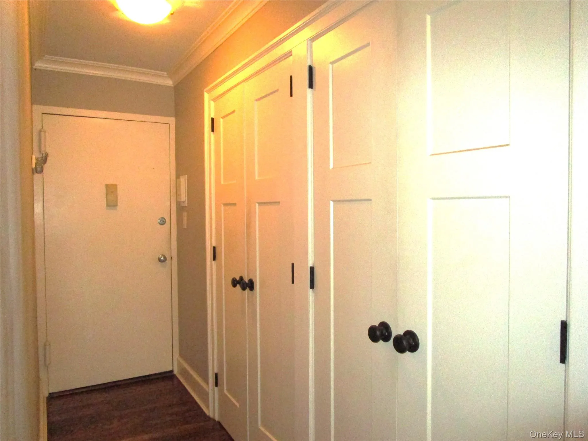 View of Double closets with double custom doors and built-in's View of Double closets with double custom doors and built-in's