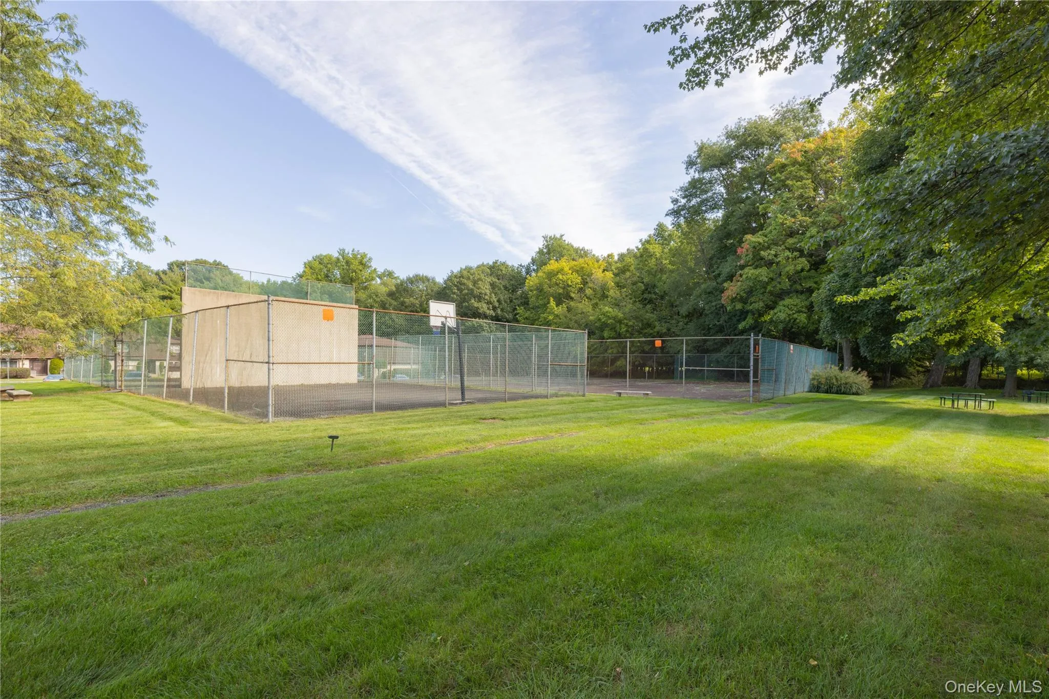 Expansive green lawn with a fenced multi-sport court featuring a basketball hoop and a handball wall, all surrounded by mature trees Expansive green lawn with a fenced multi-sport court featuring a basketball hoop and a handball wall, all surrounded by mature trees