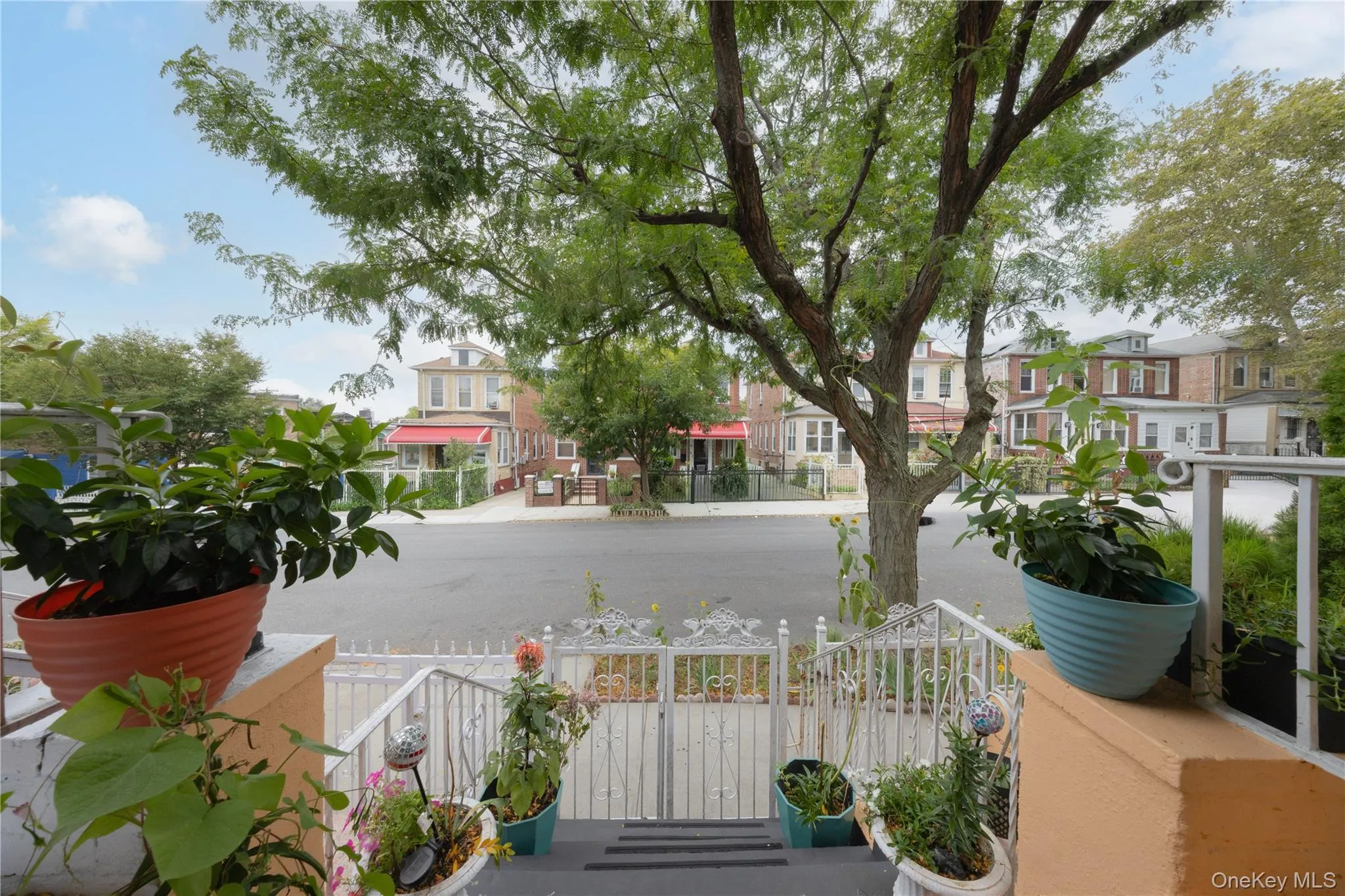 3214 Fenton Avenue, New York, NY, 3 Bedrooms Bedrooms, 10 Rooms Rooms,3 BathroomsBathrooms,Residential,For Rent,Fenton,0,1049863 3214 Fenton Avenue, New York, NY, 3 Bedrooms Bedrooms, 10 Rooms Rooms,3 BathroomsBathrooms,Residential,For Rent,Fenton,0,1049863