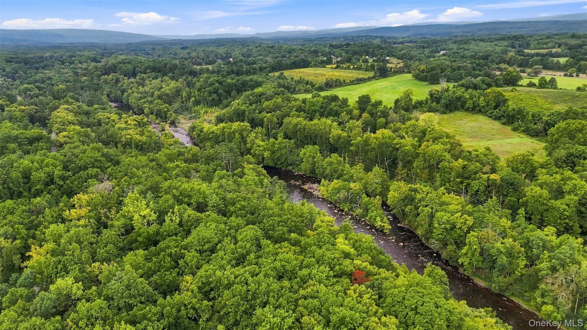 Bruceville Road, Marbletown, NY, ,Land,For Rent,Bruceville,0,1049868 Bruceville Road, Marbletown, NY, ,Land,For Rent,Bruceville,0,1049868