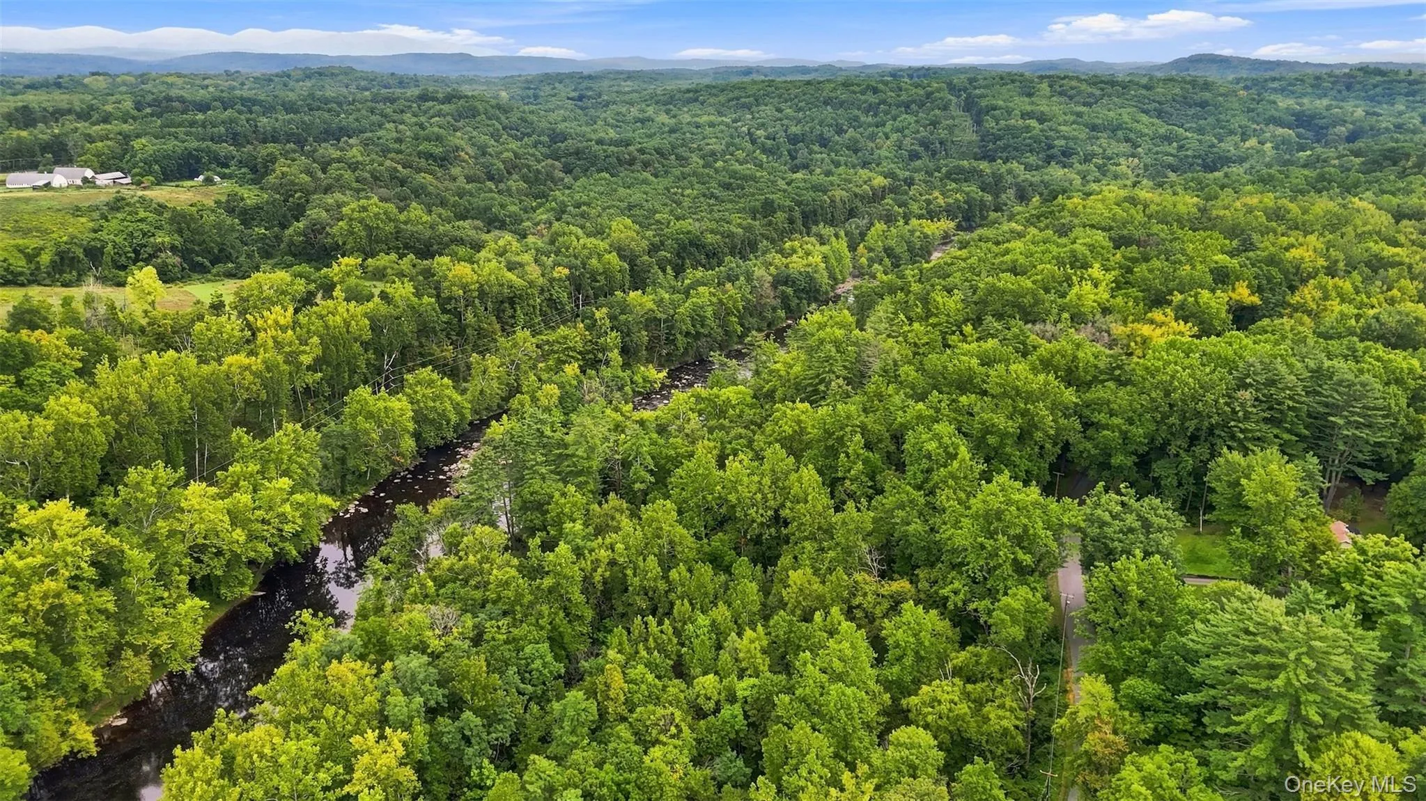 Bruceville Road, Marbletown, NY, ,Land,For Rent,Bruceville,0,1049868 Bruceville Road, Marbletown, NY, ,Land,For Rent,Bruceville,0,1049868