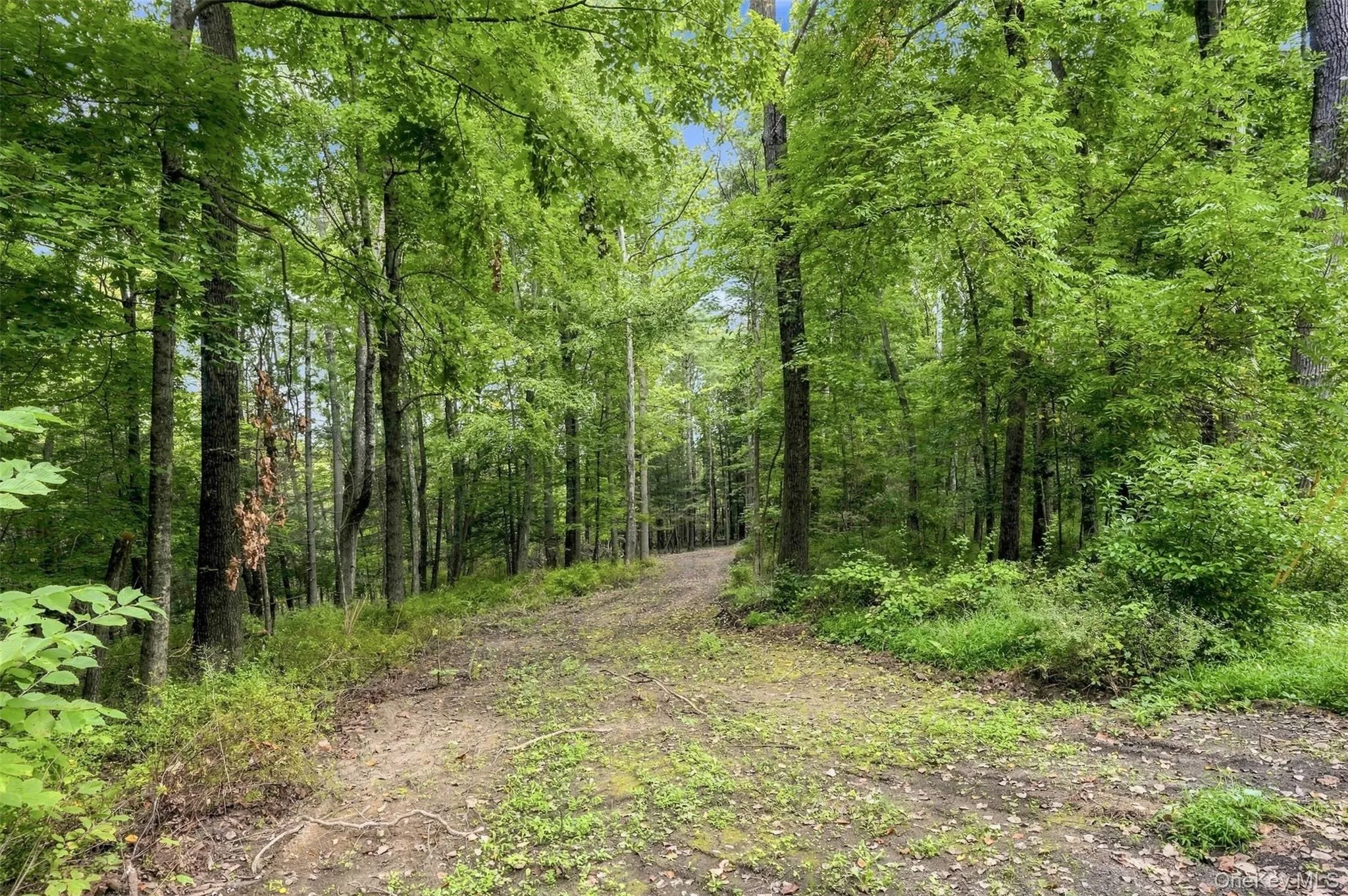 Bruceville Road, Marbletown, NY, ,Land,For Rent,Bruceville,0,1049868 Bruceville Road, Marbletown, NY, ,Land,For Rent,Bruceville,0,1049868