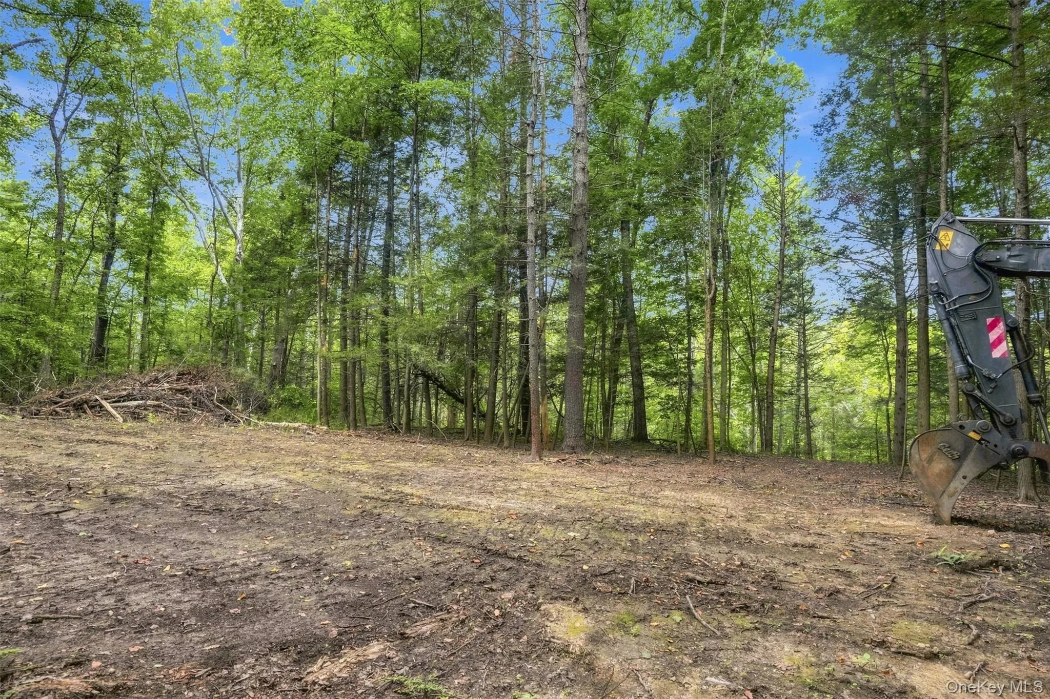 Bruceville Road, Marbletown, NY, ,Land,For Rent,Bruceville,0,1049868 Bruceville Road, Marbletown, NY, ,Land,For Rent,Bruceville,0,1049868