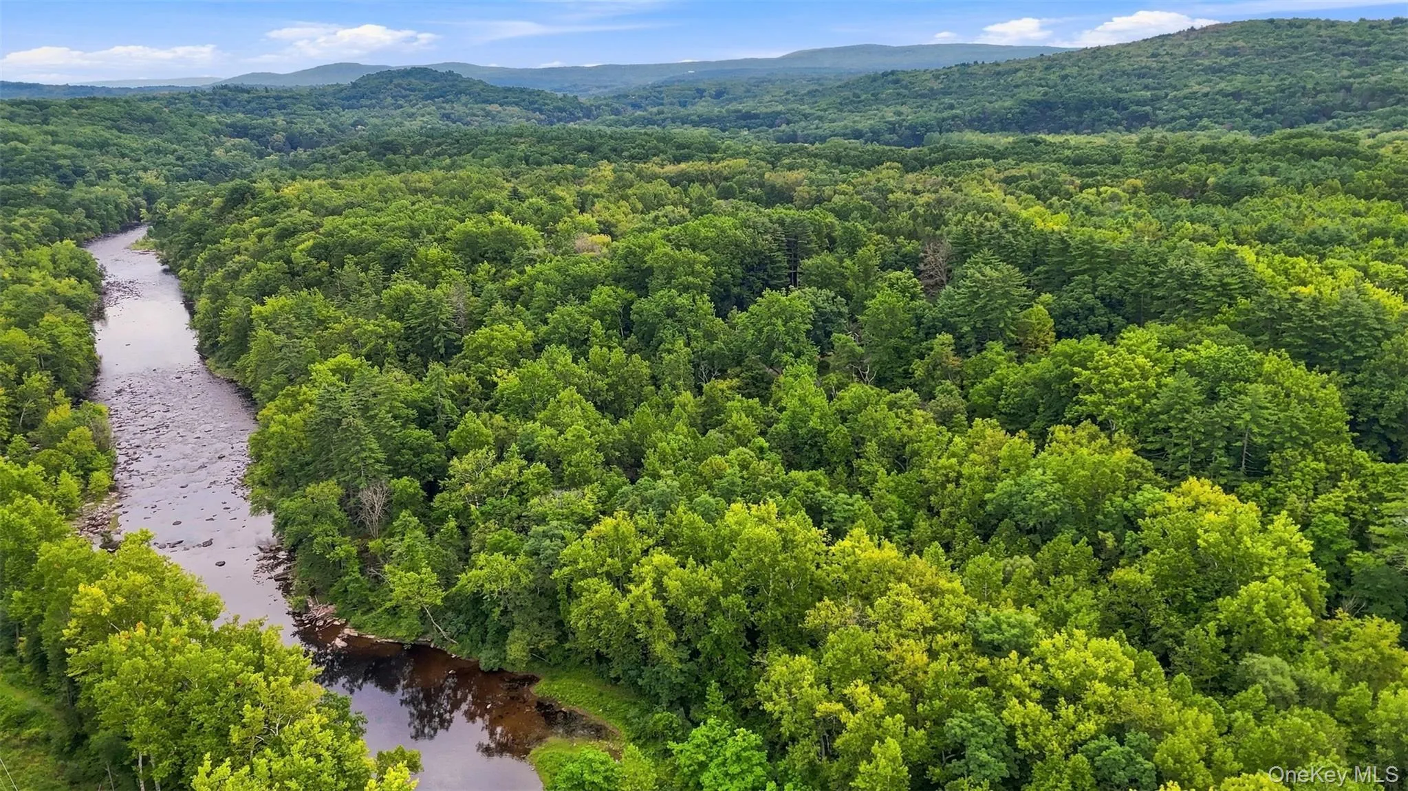 Bruceville Road, Marbletown, NY, ,Land,For Rent,Bruceville,0,1049868 Bruceville Road, Marbletown, NY, ,Land,For Rent,Bruceville,0,1049868