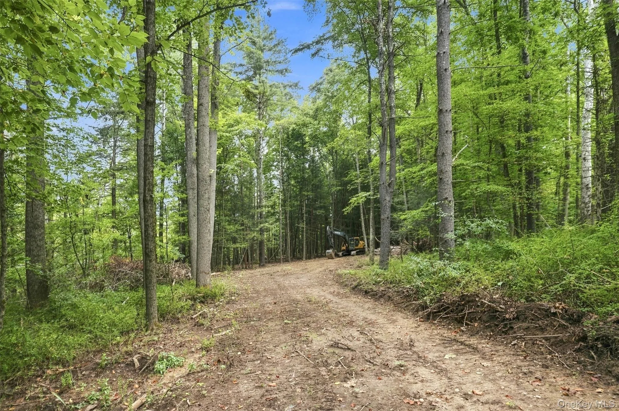 Bruceville Road, Marbletown, NY, ,Land,For Rent,Bruceville,0,1049868 Bruceville Road, Marbletown, NY, ,Land,For Rent,Bruceville,0,1049868