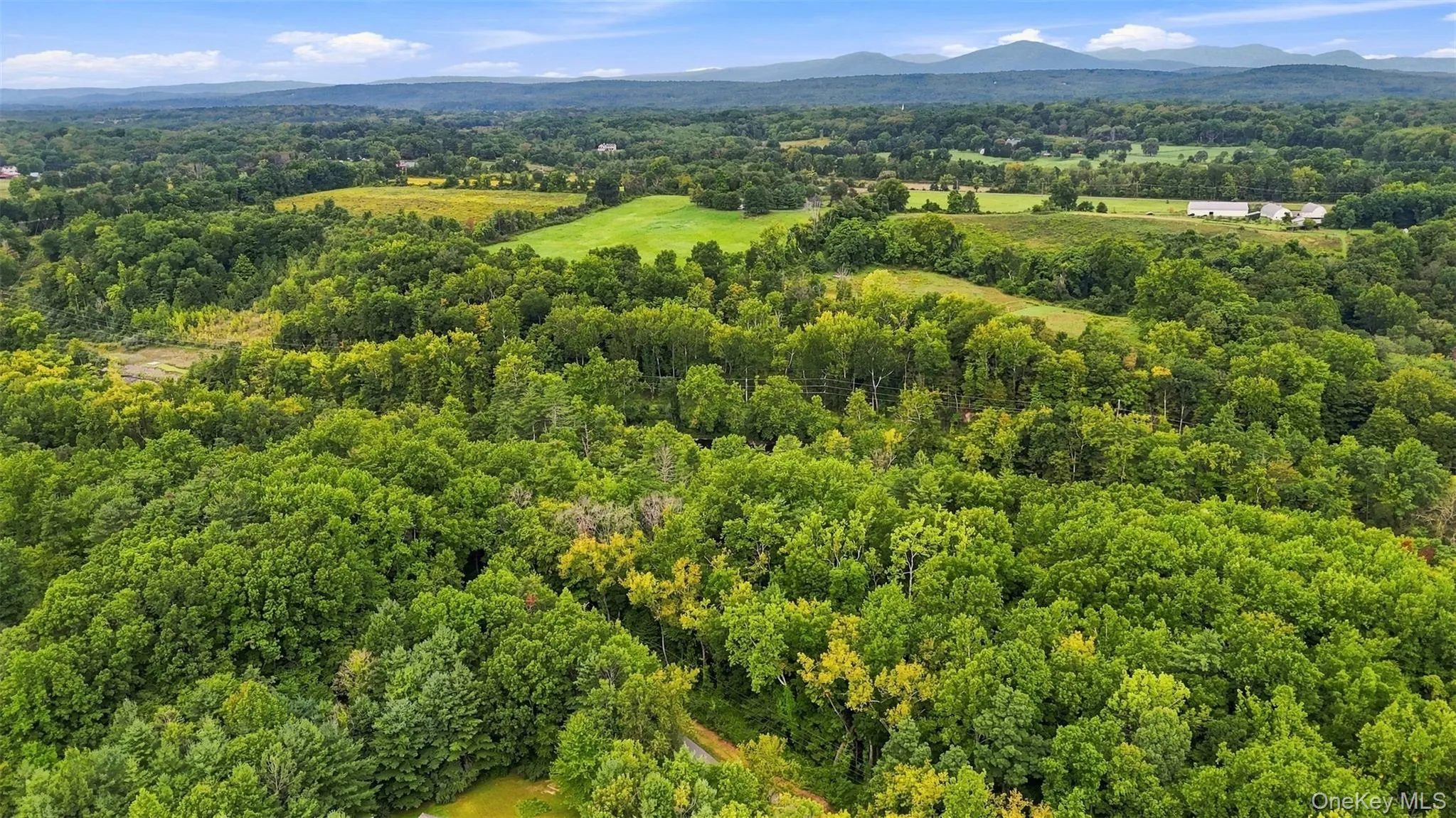 Bruceville Road, Marbletown, NY, ,Land,For Rent,Bruceville,0,1049868 Bruceville Road, Marbletown, NY, ,Land,For Rent,Bruceville,0,1049868