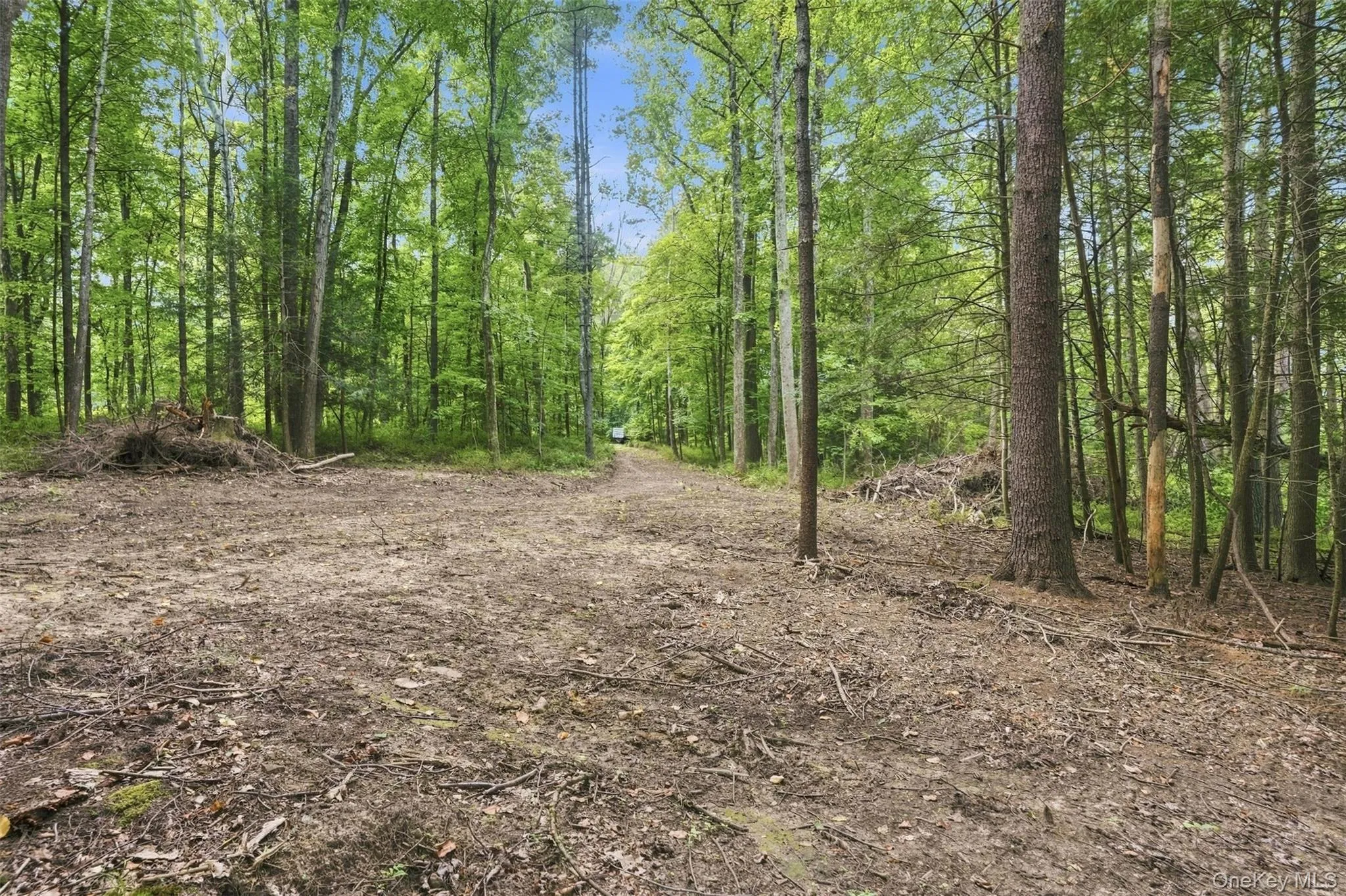 Bruceville Road, Marbletown, NY, ,Land,For Rent,Bruceville,0,1049868 Bruceville Road, Marbletown, NY, ,Land,For Rent,Bruceville,0,1049868