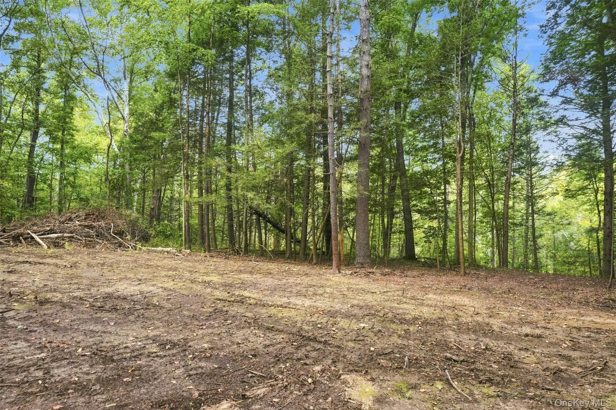 Bruceville Road, Marbletown, NY, ,Land,For Rent,Bruceville,0,1049868 Bruceville Road, Marbletown, NY, ,Land,For Rent,Bruceville,0,1049868