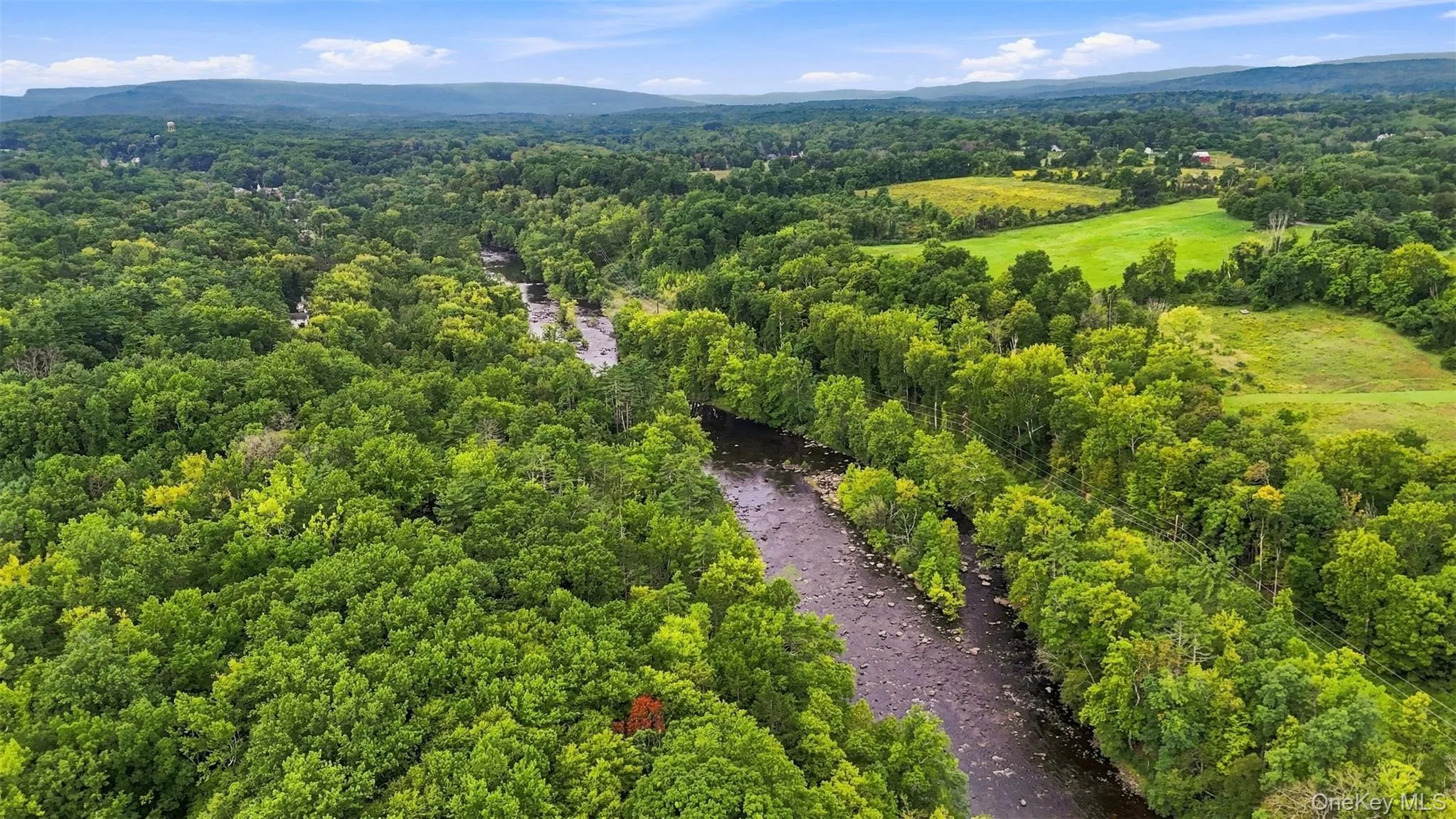 Bruceville Road, Marbletown, NY, ,Land,For Rent,Bruceville,0,1049868 Bruceville Road, Marbletown, NY, ,Land,For Rent,Bruceville,0,1049868