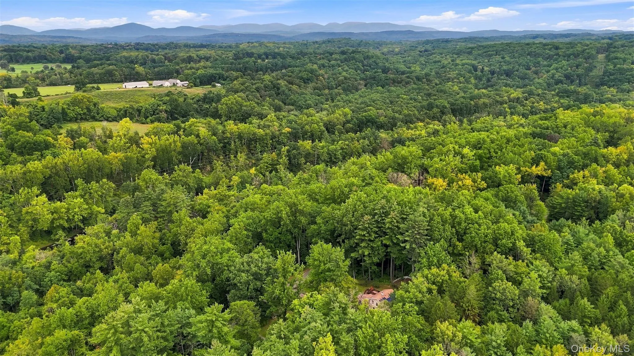 Bruceville Road, Marbletown, NY, ,Land,For Rent,Bruceville,0,1049868 Bruceville Road, Marbletown, NY, ,Land,For Rent,Bruceville,0,1049868