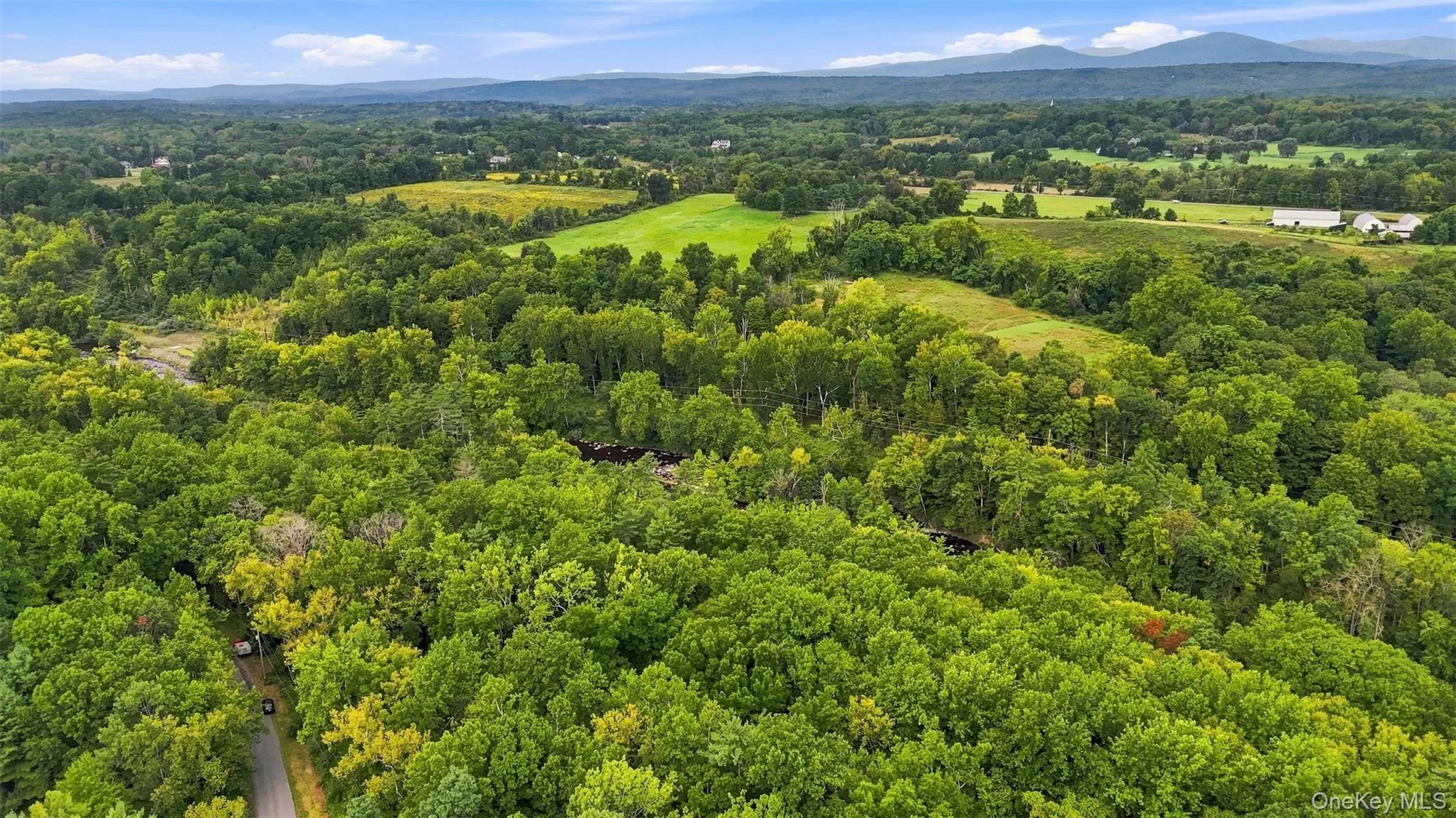 Bruceville Road, Marbletown, NY, ,Land,For Rent,Bruceville,0,1049868 Bruceville Road, Marbletown, NY, ,Land,For Rent,Bruceville,0,1049868