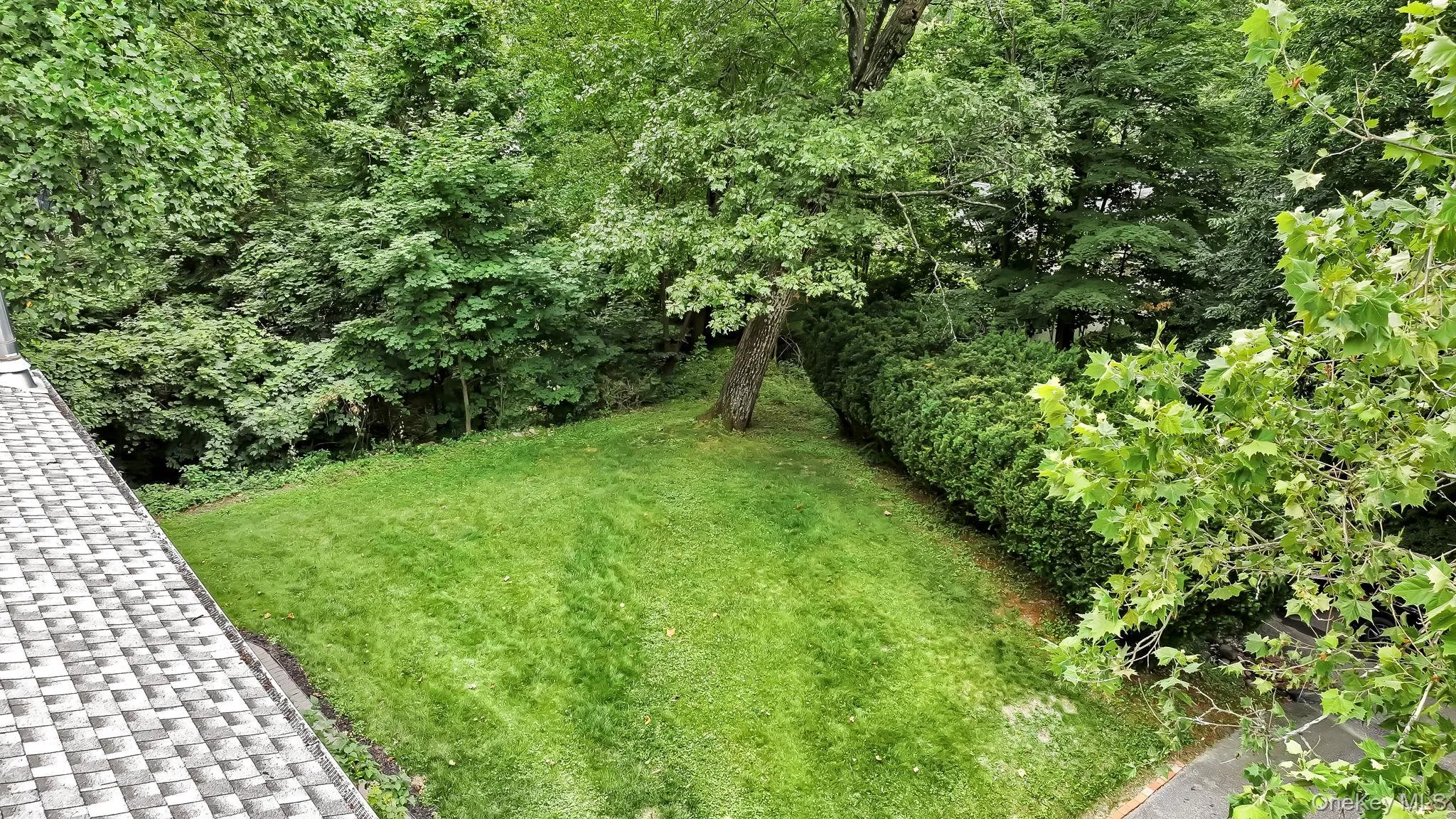 Front yard surrounded by mature trees providing privacy. Front yard surrounded by mature trees providing privacy.