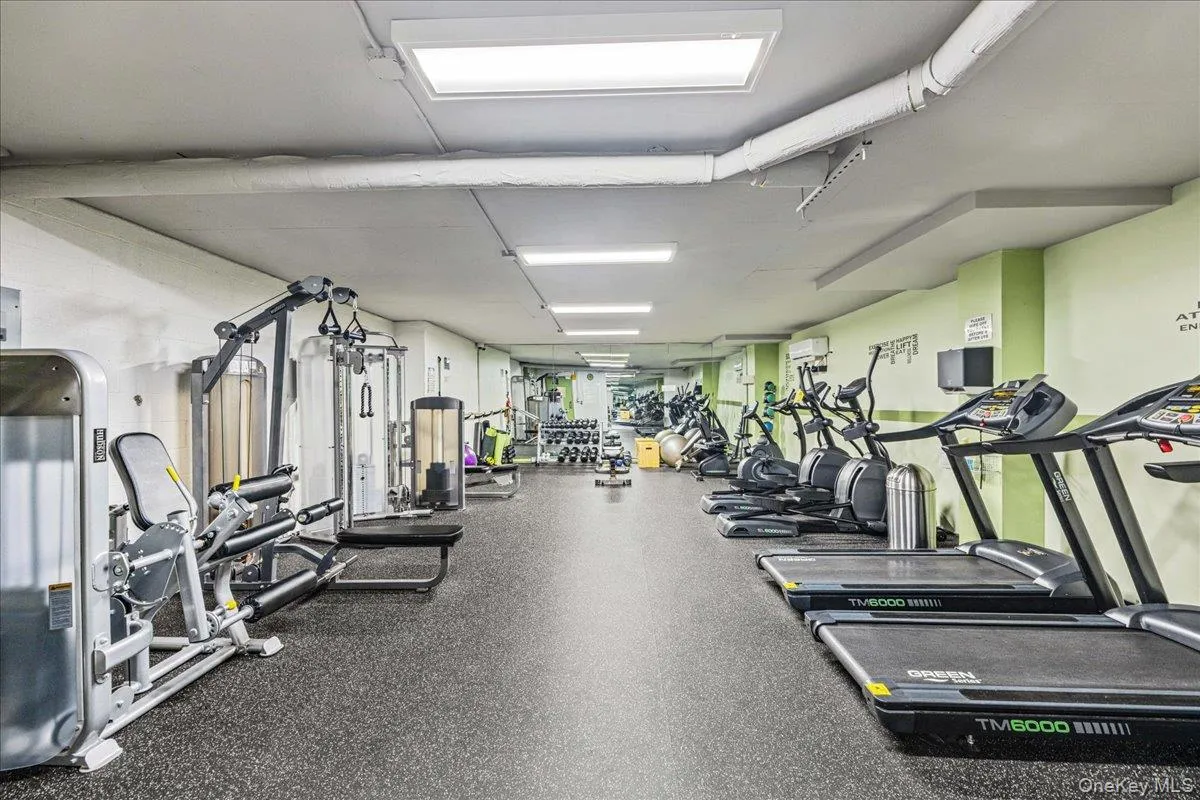 555 Kappock Street, New York, NY, 3 Bedrooms Bedrooms, 6 Rooms Rooms,2 BathroomsBathrooms,Residential,For Rent,Kappock,0,1049906 555 Kappock Street, New York, NY, 3 Bedrooms Bedrooms, 6 Rooms Rooms,2 BathroomsBathrooms,Residential,For Rent,Kappock,0,1049906