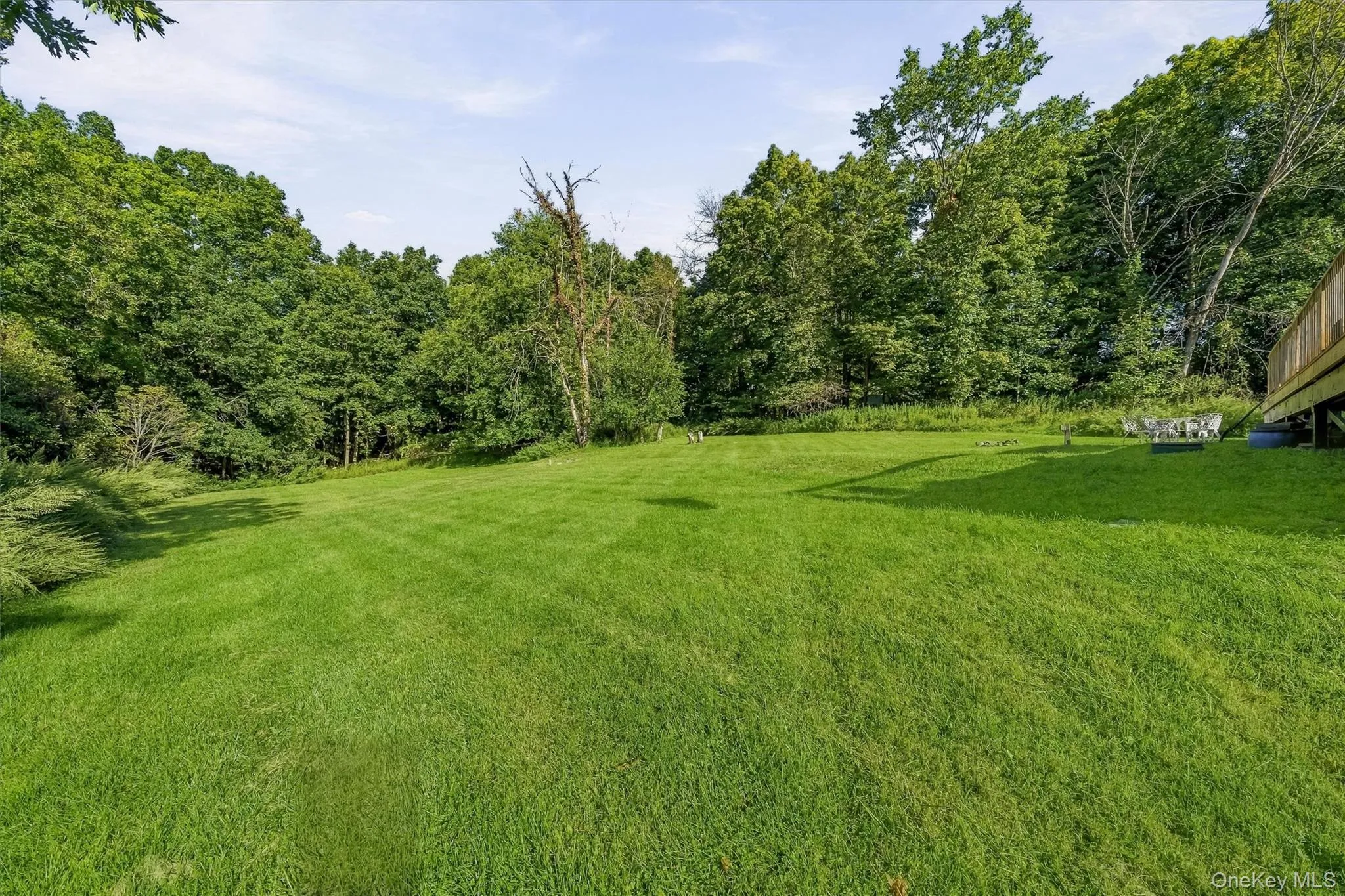 97 Heselton Drive, Wawayanda, NY, 3 Bedrooms Bedrooms, 6 Rooms Rooms,2 BathroomsBathrooms,Residential,For Rent,Heselton,0,1049918 97 Heselton Drive, Wawayanda, NY, 3 Bedrooms Bedrooms, 6 Rooms Rooms,2 BathroomsBathrooms,Residential,For Rent,Heselton,0,1049918