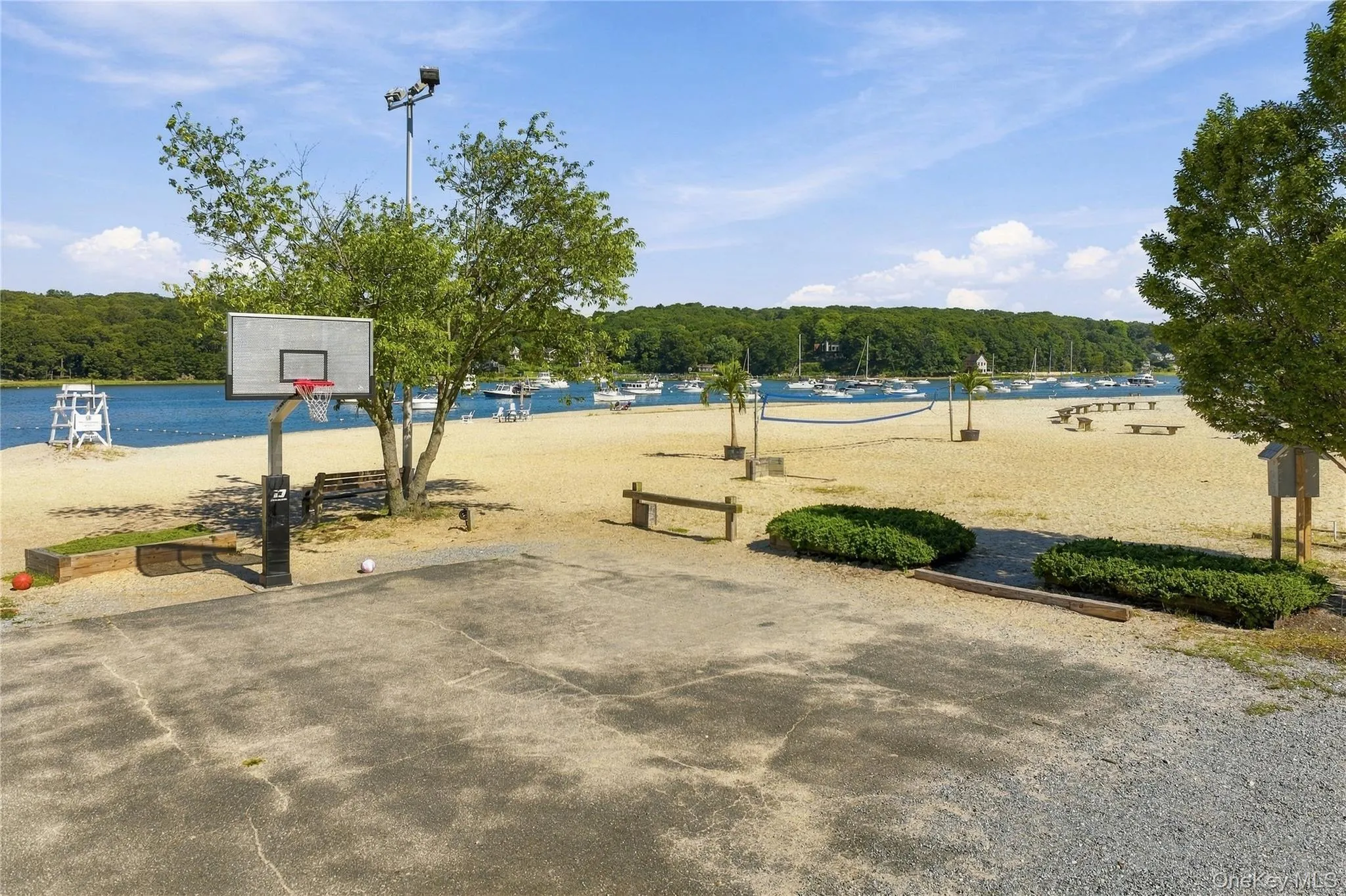 245 Buchanan Street, Huntington, NY, 3 Bedrooms Bedrooms, 7 Rooms Rooms,2 BathroomsBathrooms,Residential,For Rent,Buchanan,0,1049953 245 Buchanan Street, Huntington, NY, 3 Bedrooms Bedrooms, 7 Rooms Rooms,2 BathroomsBathrooms,Residential,For Rent,Buchanan,0,1049953