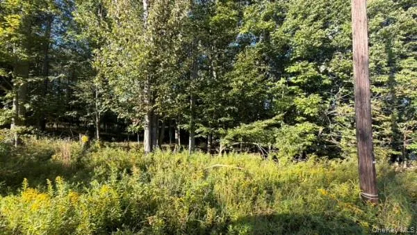 Highview Avenue, Liberty, NY, ,Land,For Rent,Highview,0,1049964 Highview Avenue, Liberty, NY, ,Land,For Rent,Highview,0,1049964