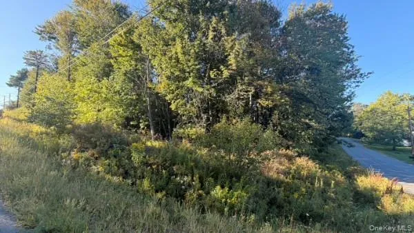 Highview Avenue, Liberty, NY, ,Land,For Rent,Highview,0,1049964 Highview Avenue, Liberty, NY, ,Land,For Rent,Highview,0,1049964