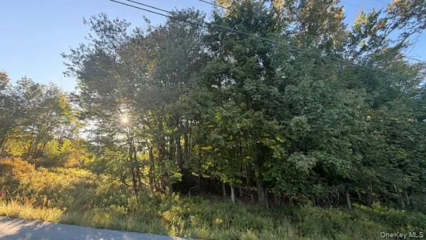 Highview Avenue, Liberty, NY, ,Land,For Rent,Highview,0,1049964 Highview Avenue, Liberty, NY, ,Land,For Rent,Highview,0,1049964