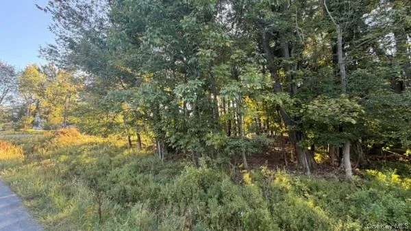 Highview Avenue, Liberty, NY, ,Land,For Rent,Highview,0,1049964 Highview Avenue, Liberty, NY, ,Land,For Rent,Highview,0,1049964