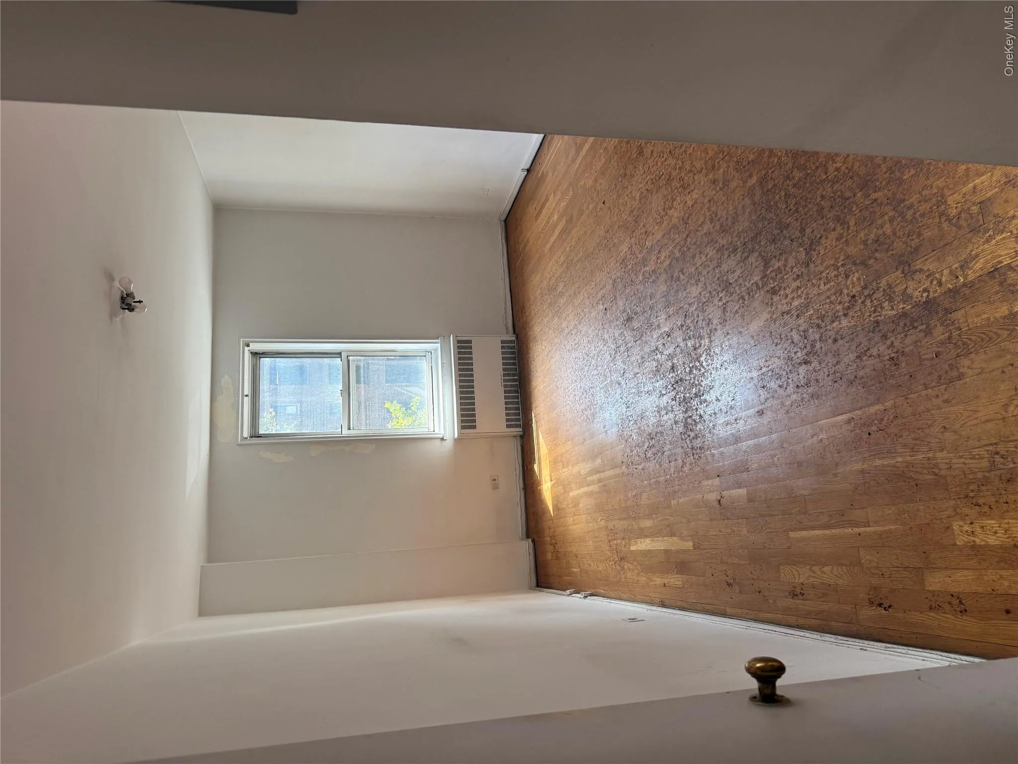 9915 66th Avenue, New York, NY, 1 Bedroom Bedrooms, 3 Rooms Rooms,1 BathroomBathrooms,Residential,For Rent,66th,0,1049974 9915 66th Avenue, New York, NY, 1 Bedroom Bedrooms, 3 Rooms Rooms,1 BathroomBathrooms,Residential,For Rent,66th,0,1049974