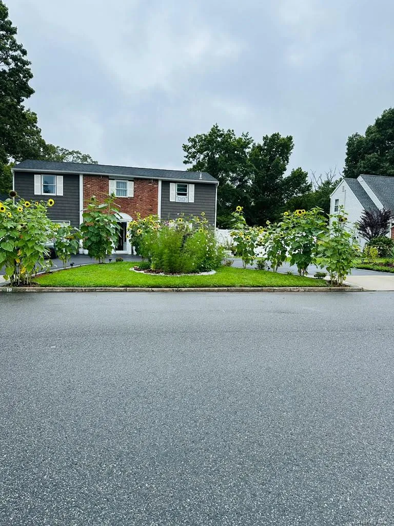 18 William Street, Brookhaven, NY, 4 Bedrooms Bedrooms, 6 Rooms Rooms,2 BathroomsBathrooms,Residential,For Rent,William,0,1049978 18 William Street, Brookhaven, NY, 4 Bedrooms Bedrooms, 6 Rooms Rooms,2 BathroomsBathrooms,Residential,For Rent,William,0,1049978
