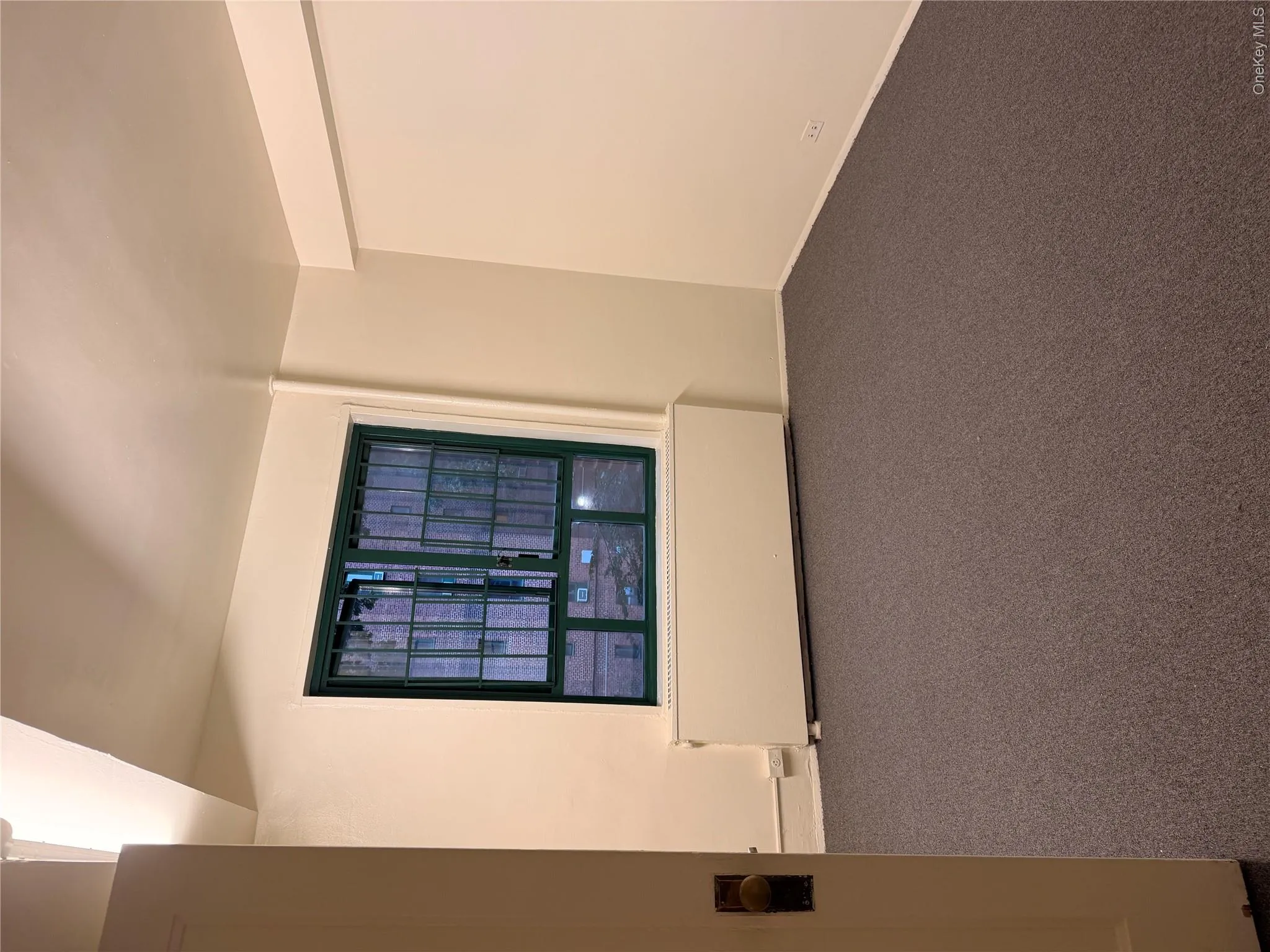 1725 Purdy Street, New York, NY, 1 Bedroom Bedrooms, 2 Room Rooms,1 BathroomBathrooms,Residential Lease,For Rent,Purdy,0,1049984 1725 Purdy Street, New York, NY, 1 Bedroom Bedrooms, 2 Room Rooms,1 BathroomBathrooms,Residential Lease,For Rent,Purdy,0,1049984