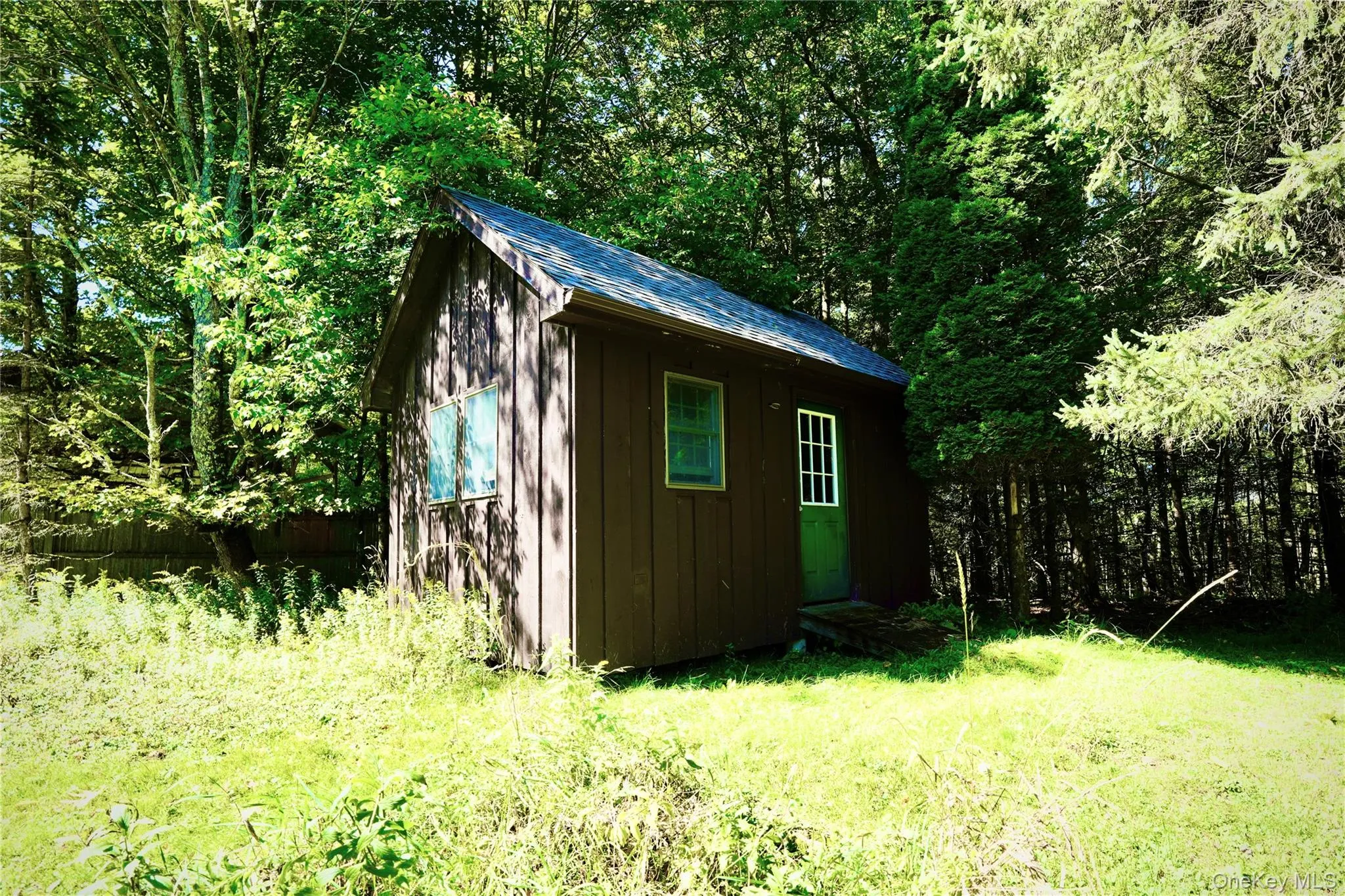 Storage Shed with new roof Storage Shed with new roof