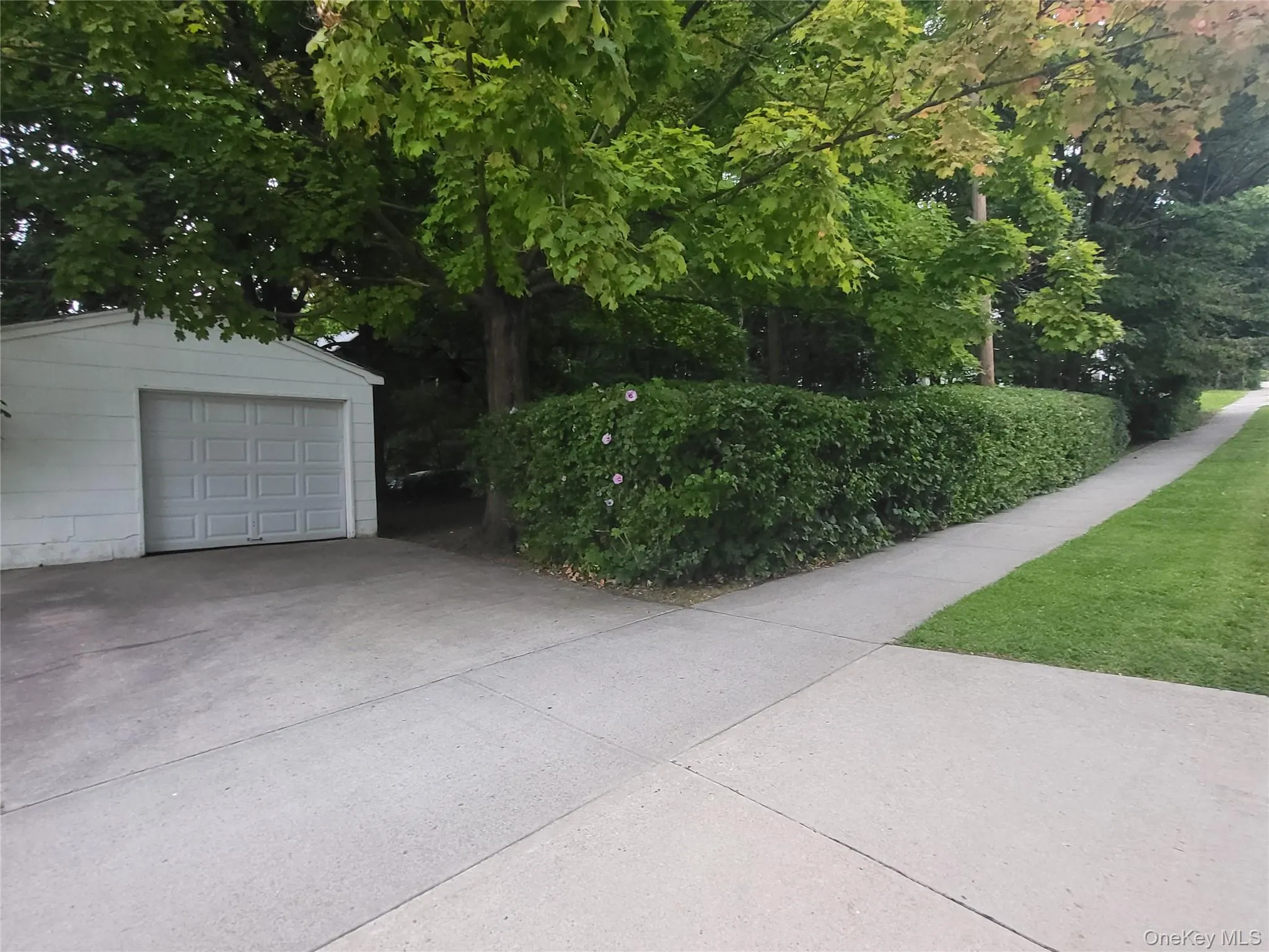 Garage, driveway, and sidewalk with privacy hedges surrounding side yard Garage, driveway, and sidewalk with privacy hedges surrounding side yard