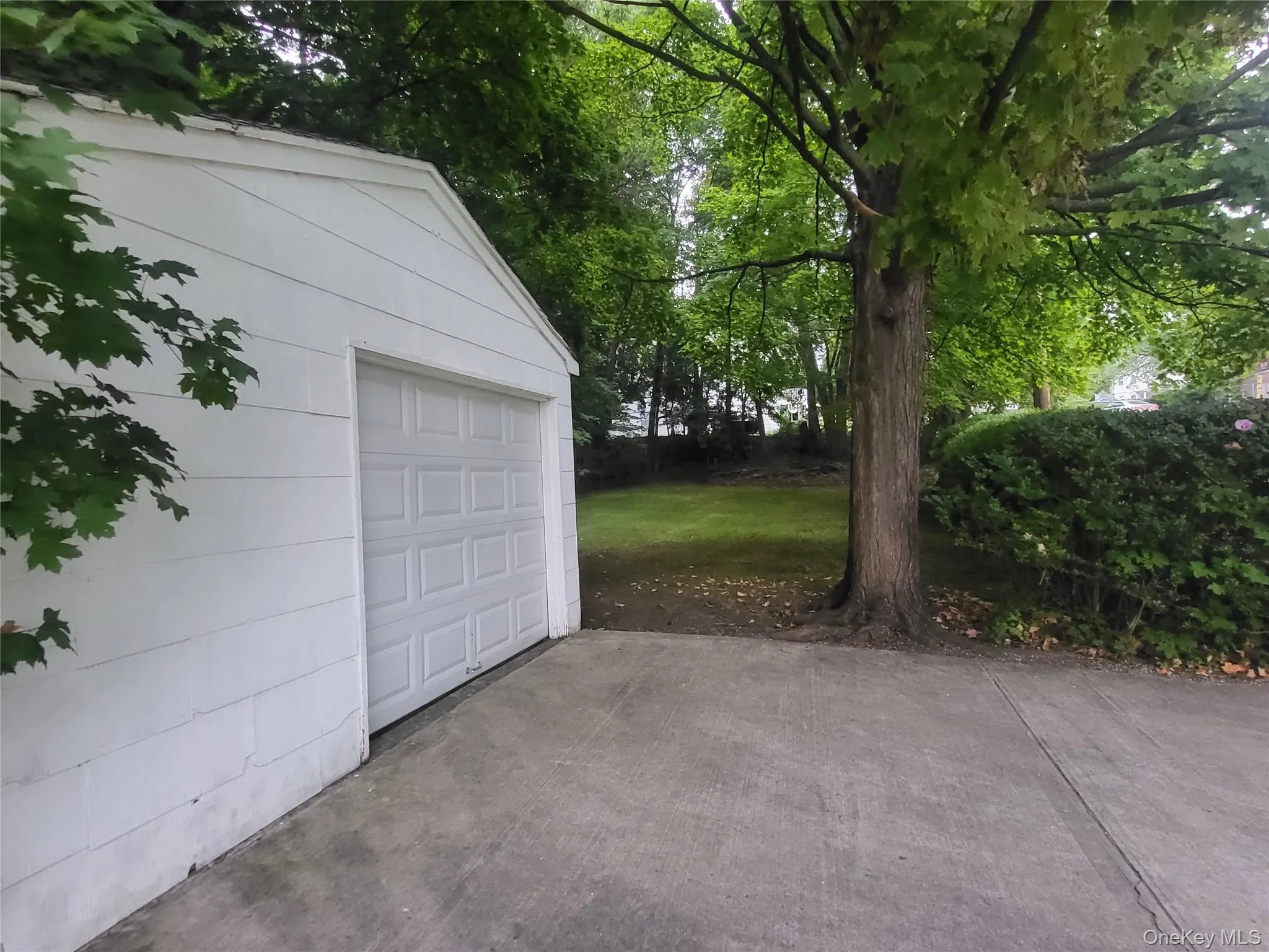Garage and side yard Garage and side yard