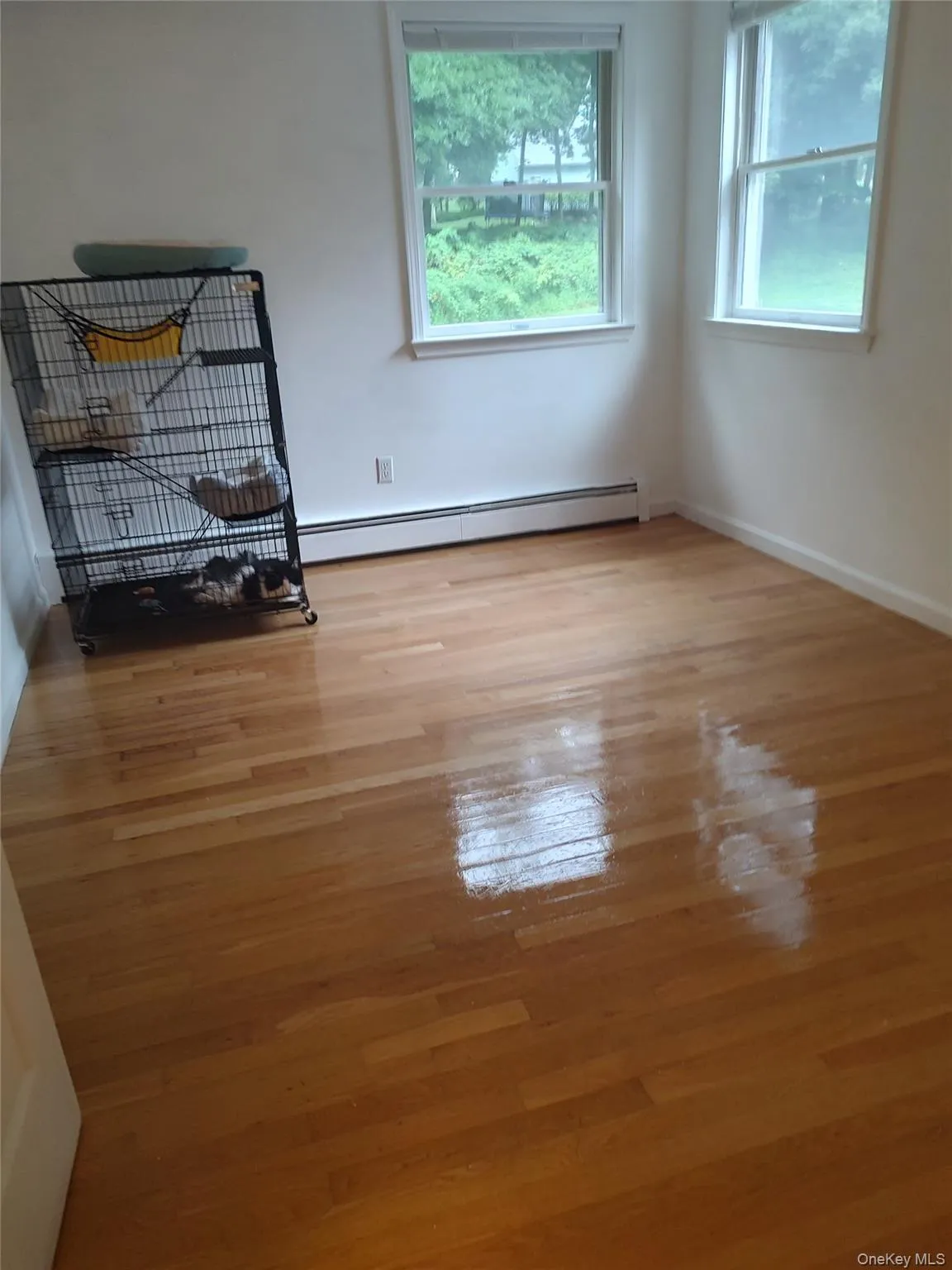 6 Summer Winds Court, Cornwall, NY, 5 Bedrooms Bedrooms, 11 Rooms Rooms,3 BathroomsBathrooms,Residential,For Rent,Summer Winds,0,1050018 6 Summer Winds Court, Cornwall, NY, 5 Bedrooms Bedrooms, 11 Rooms Rooms,3 BathroomsBathrooms,Residential,For Rent,Summer Winds,0,1050018