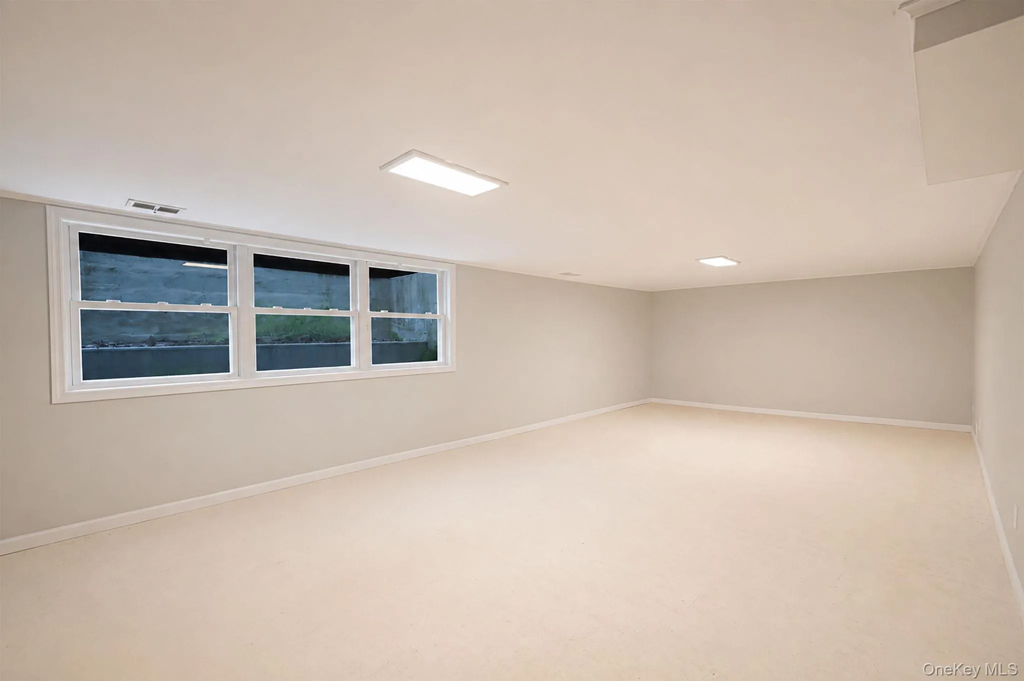 Blank slate - storage an utilties on unfinished side Blank slate - storage an utilties on unfinished side