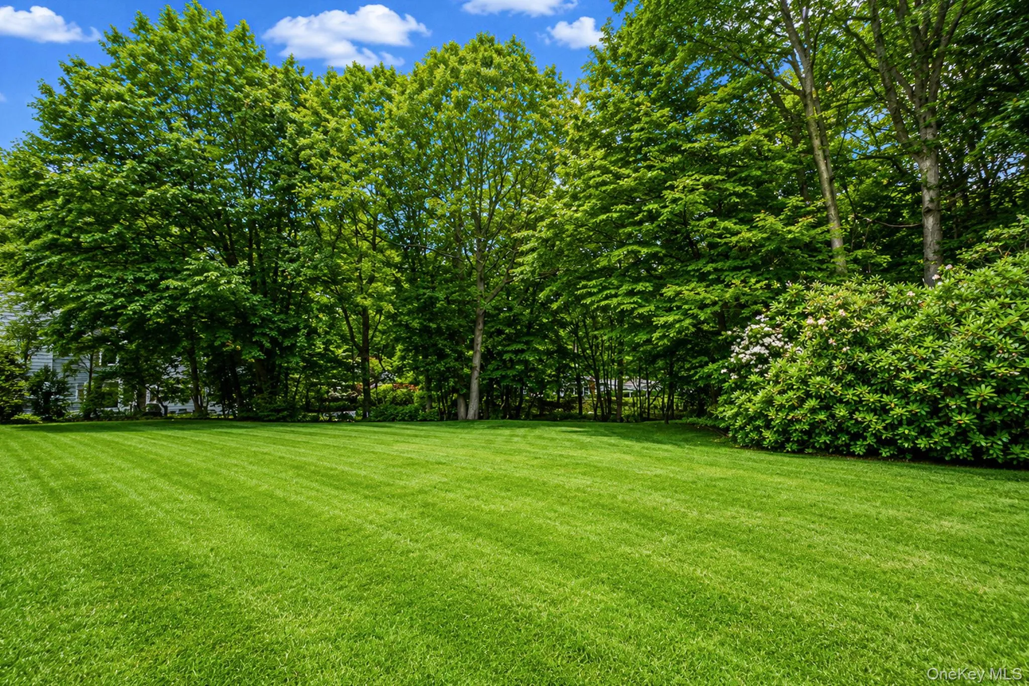 15 Cliff Road, Brookhaven, NY, 3 Bedrooms Bedrooms, 8 Rooms Rooms,2 BathroomsBathrooms,Residential,For Rent,Cliff,0,1050046 15 Cliff Road, Brookhaven, NY, 3 Bedrooms Bedrooms, 8 Rooms Rooms,2 BathroomsBathrooms,Residential,For Rent,Cliff,0,1050046