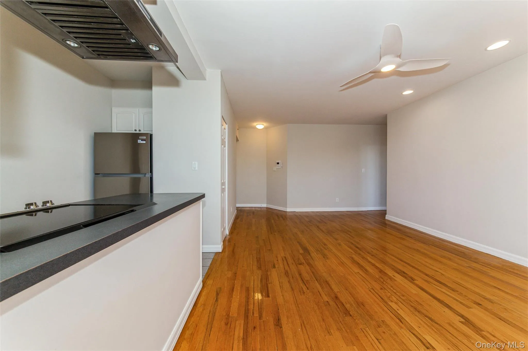Open Concept Livingroom/Dining/Kitchen Open Concept Livingroom/Dining/Kitchen
