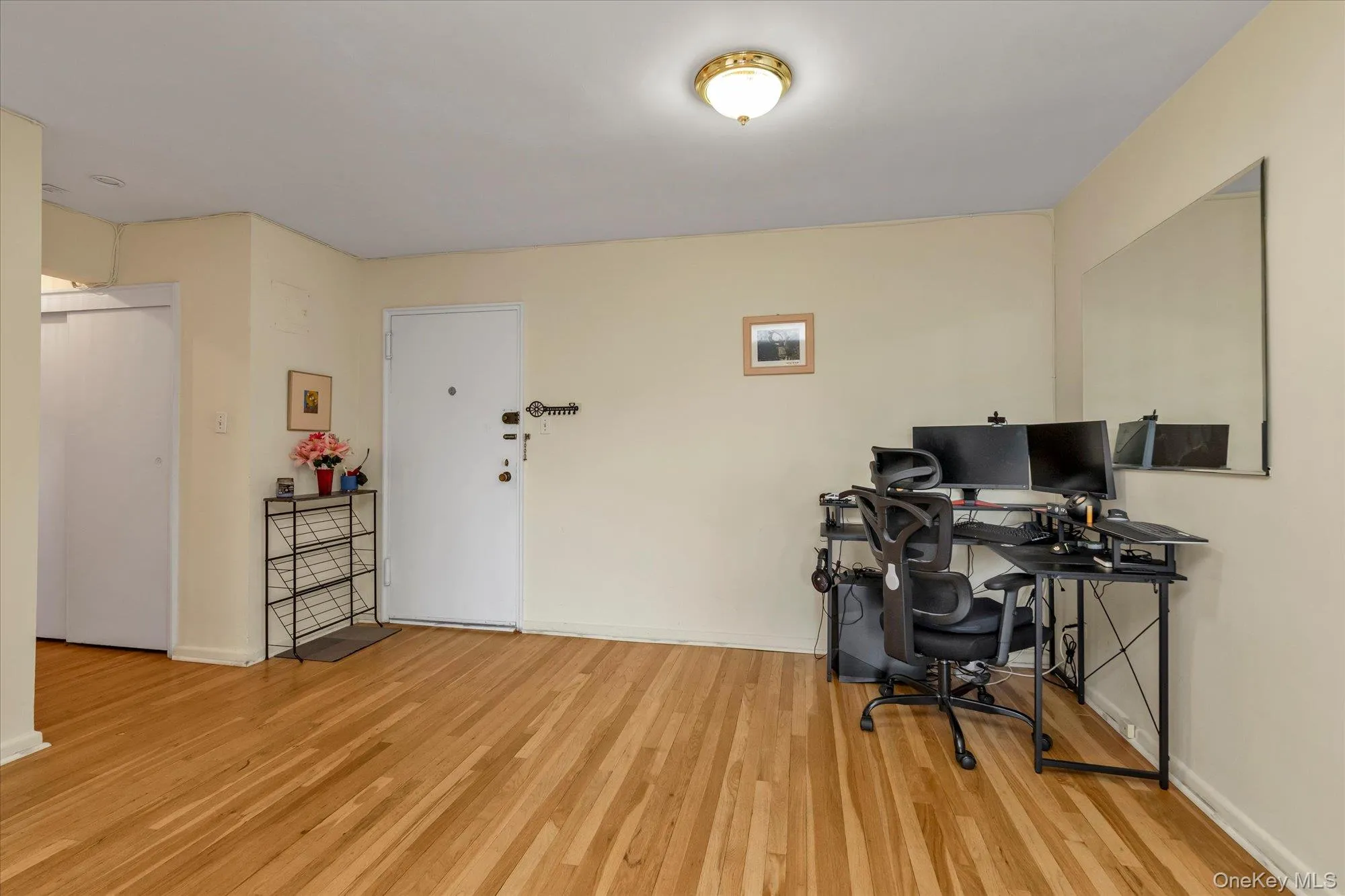 Welcoming 'Flexible' Spacious Foyer Area with Closets Galore! Welcoming 'Flexible' Spacious Foyer Area with Closets Galore!